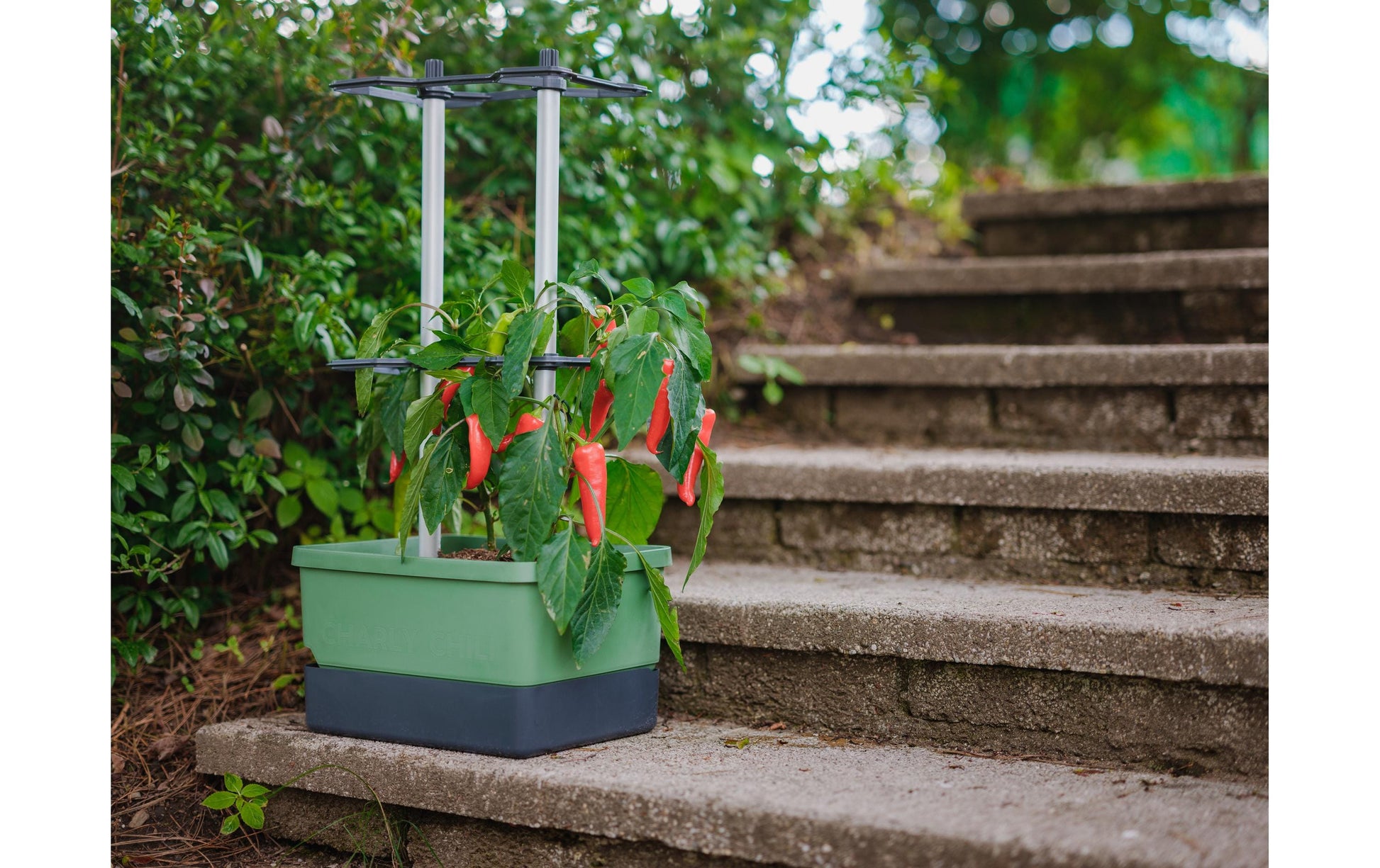 Gusta Garden CHARLY CHILI Topfpflanzer – 10 l, 27,5 × 68,7 × 34,5 cm – Kunststoff & Aluminium, dunkelgrün