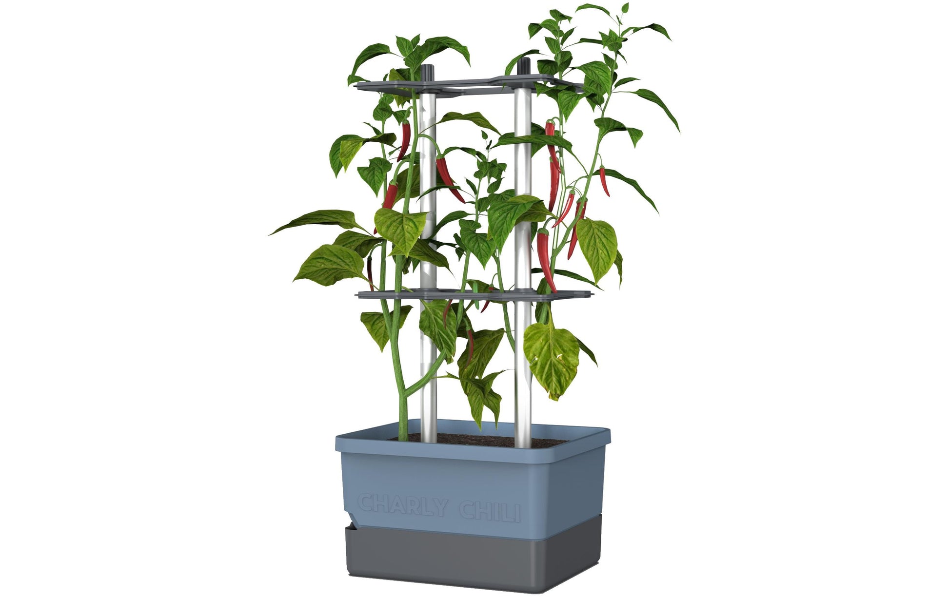 Gusta Garden Charly Chili Topfpflanzer – 10 l, 35 × 28 × 69 cm – Polypropylen & Aluminium, blau