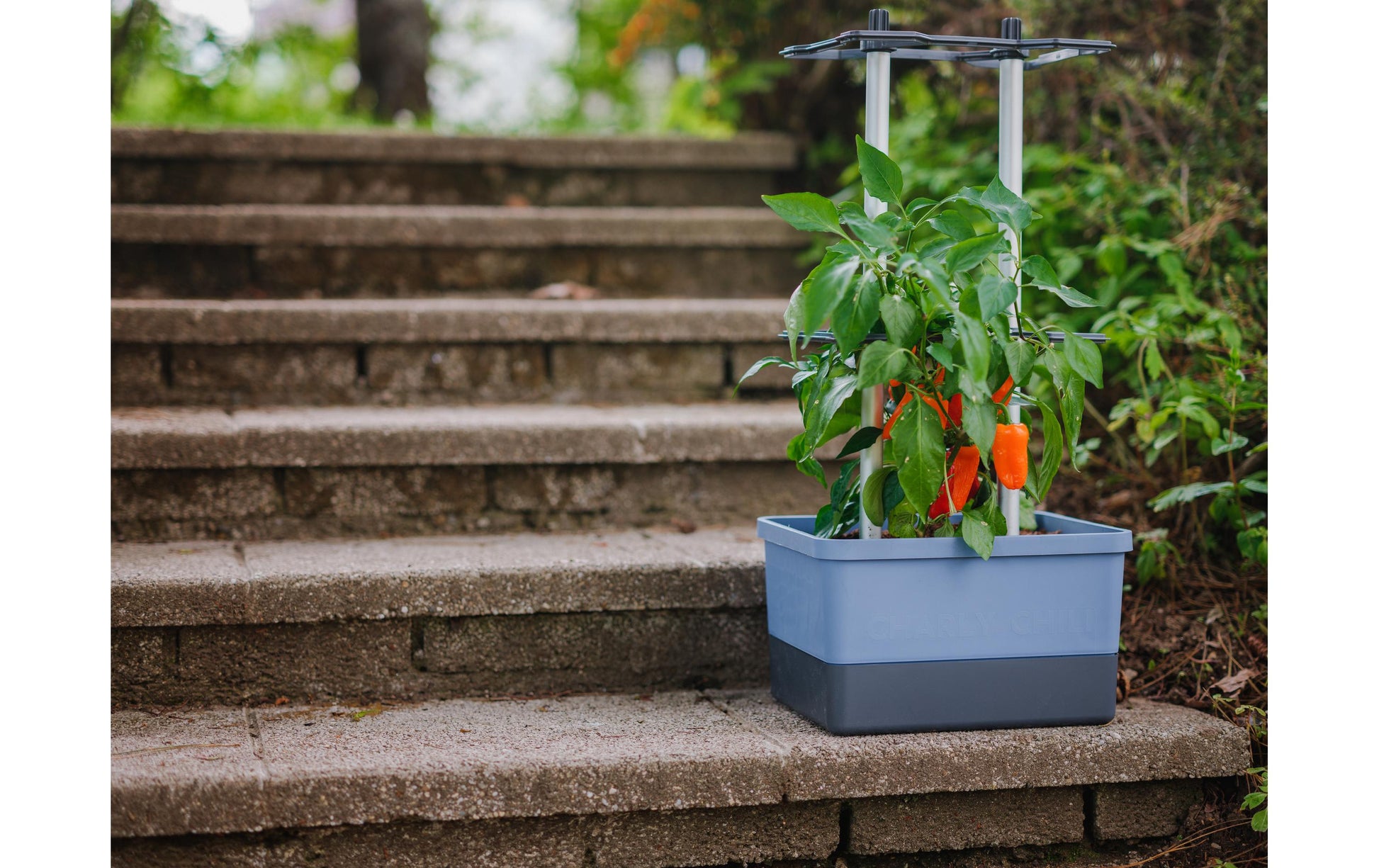Gusta Garden Charly Chili Topfpflanzer – 10 l, 35 × 28 × 69 cm – Polypropylen & Aluminium, blau