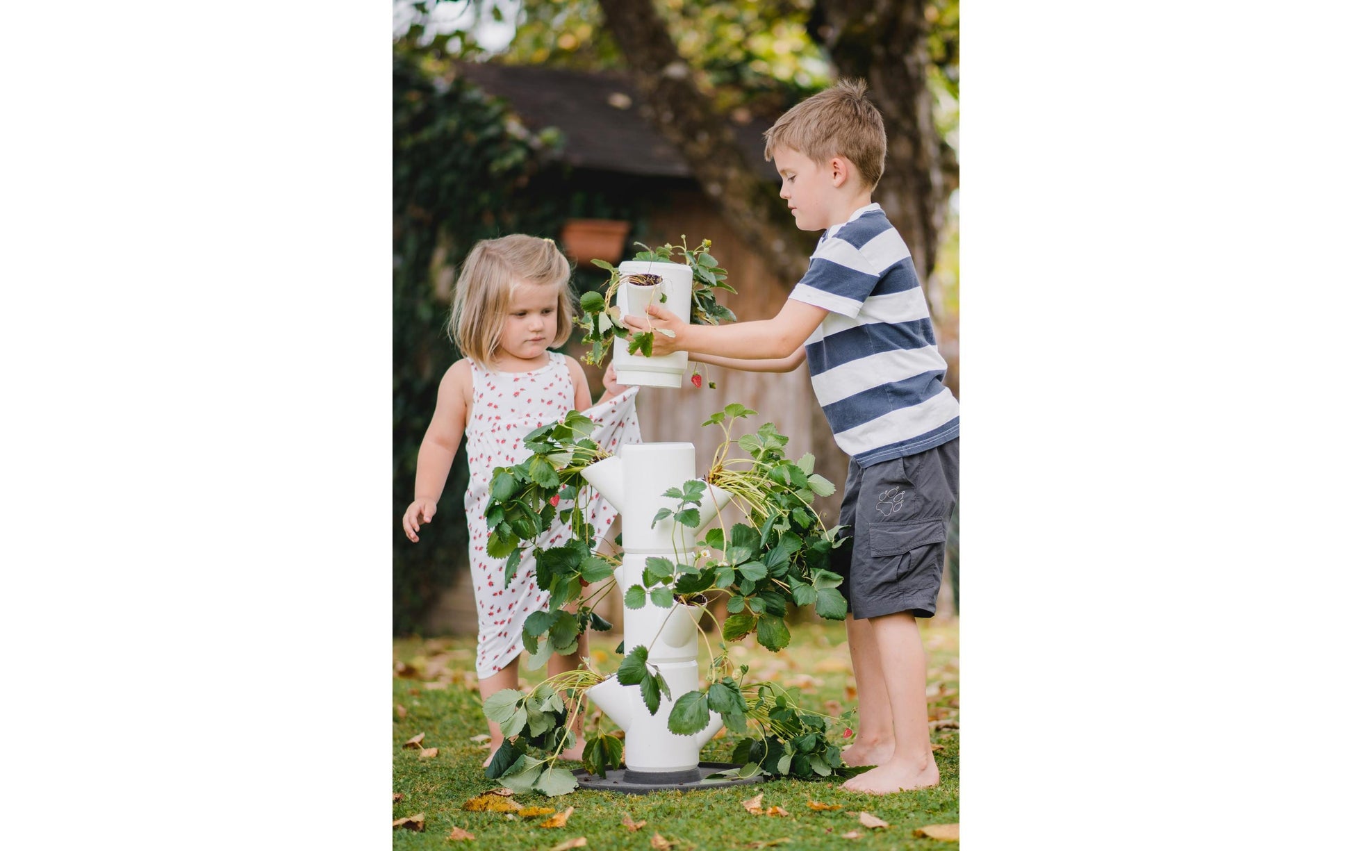 Gusta Garden SISSI STRAWBERRY Aufzuchttopf – Ø 27 × 77 cm – Kunststoff, weiss