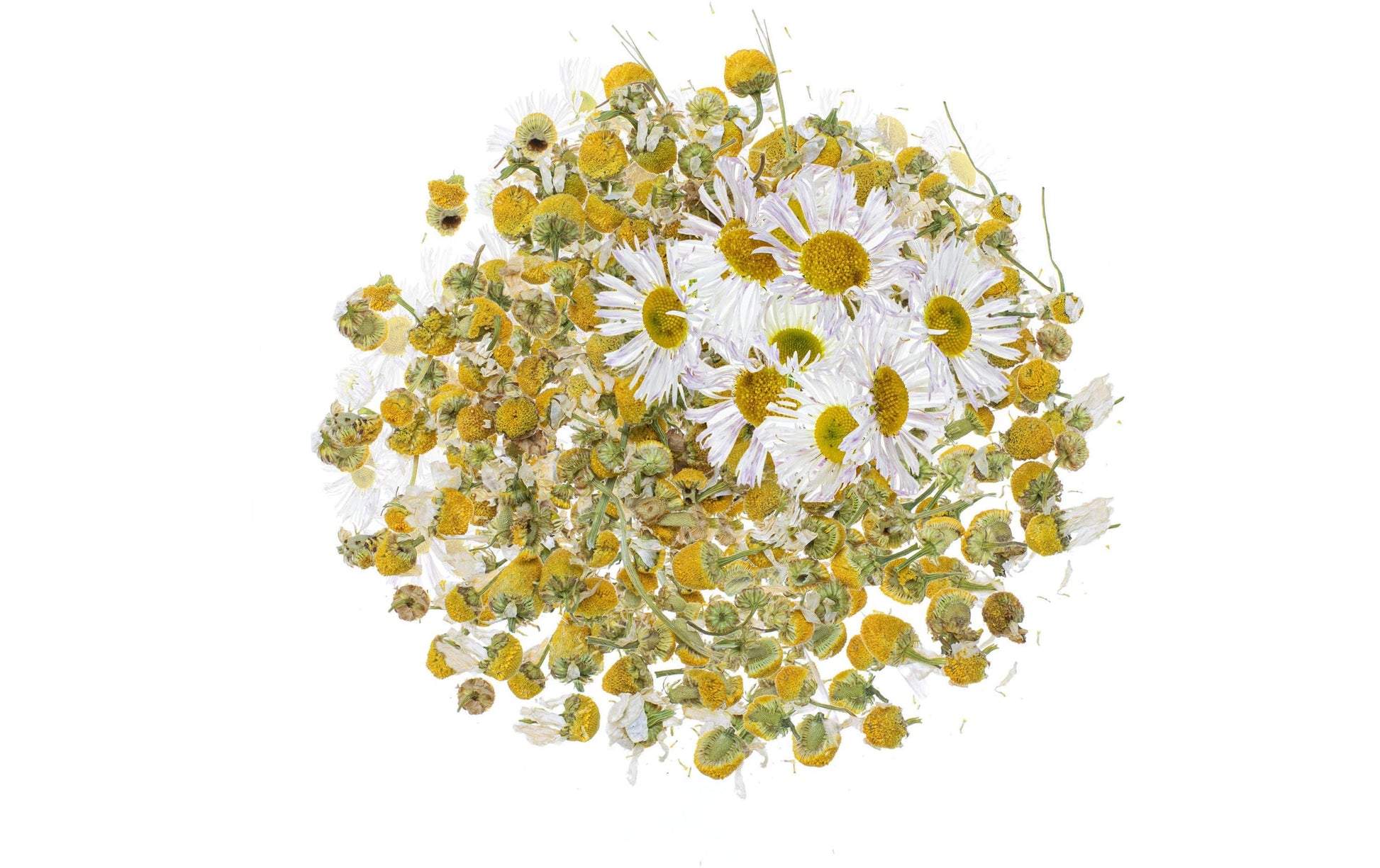GLOREX Kamillenblüten, Gelb