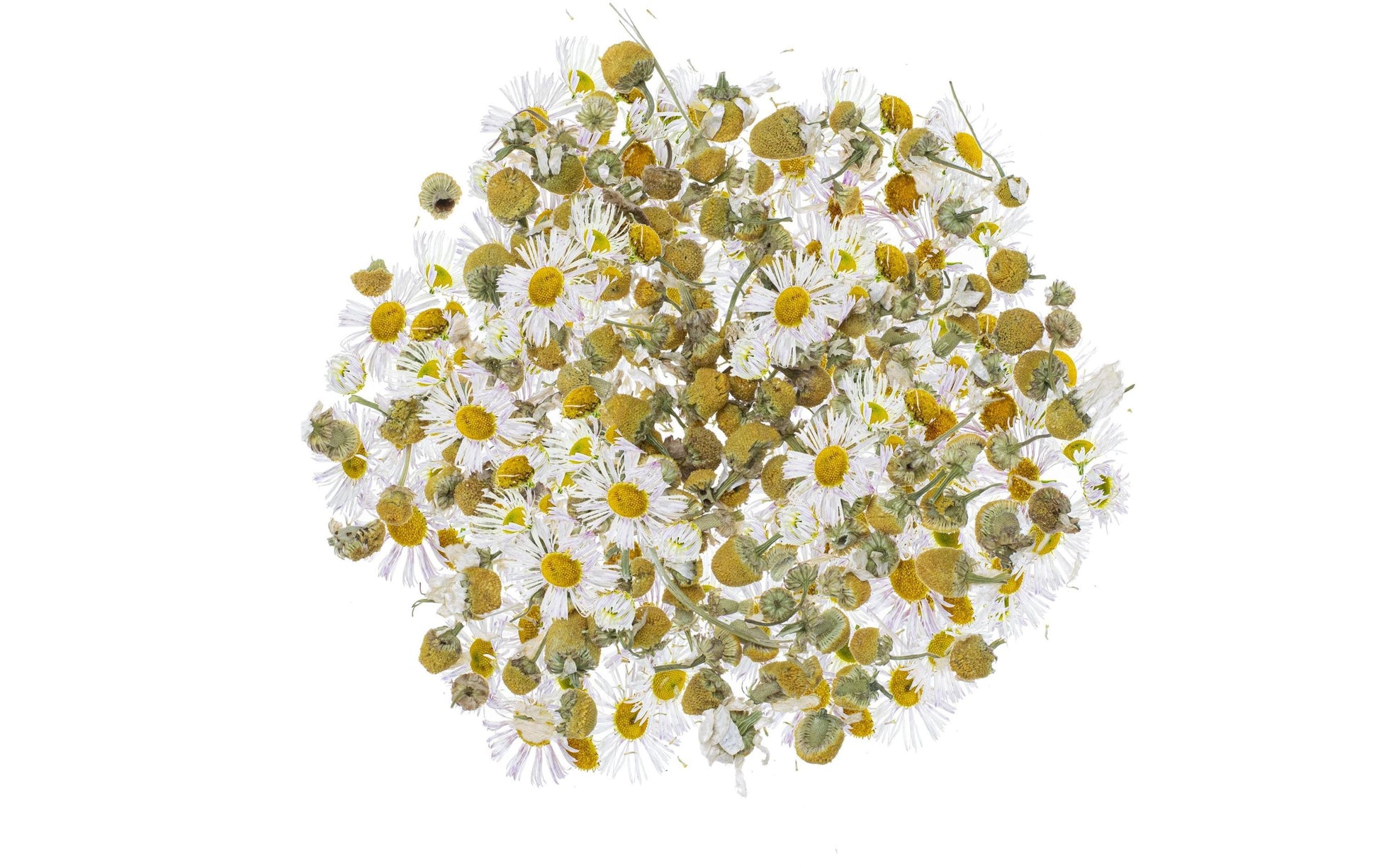 GLOREX Kamillenblüten, Gelb