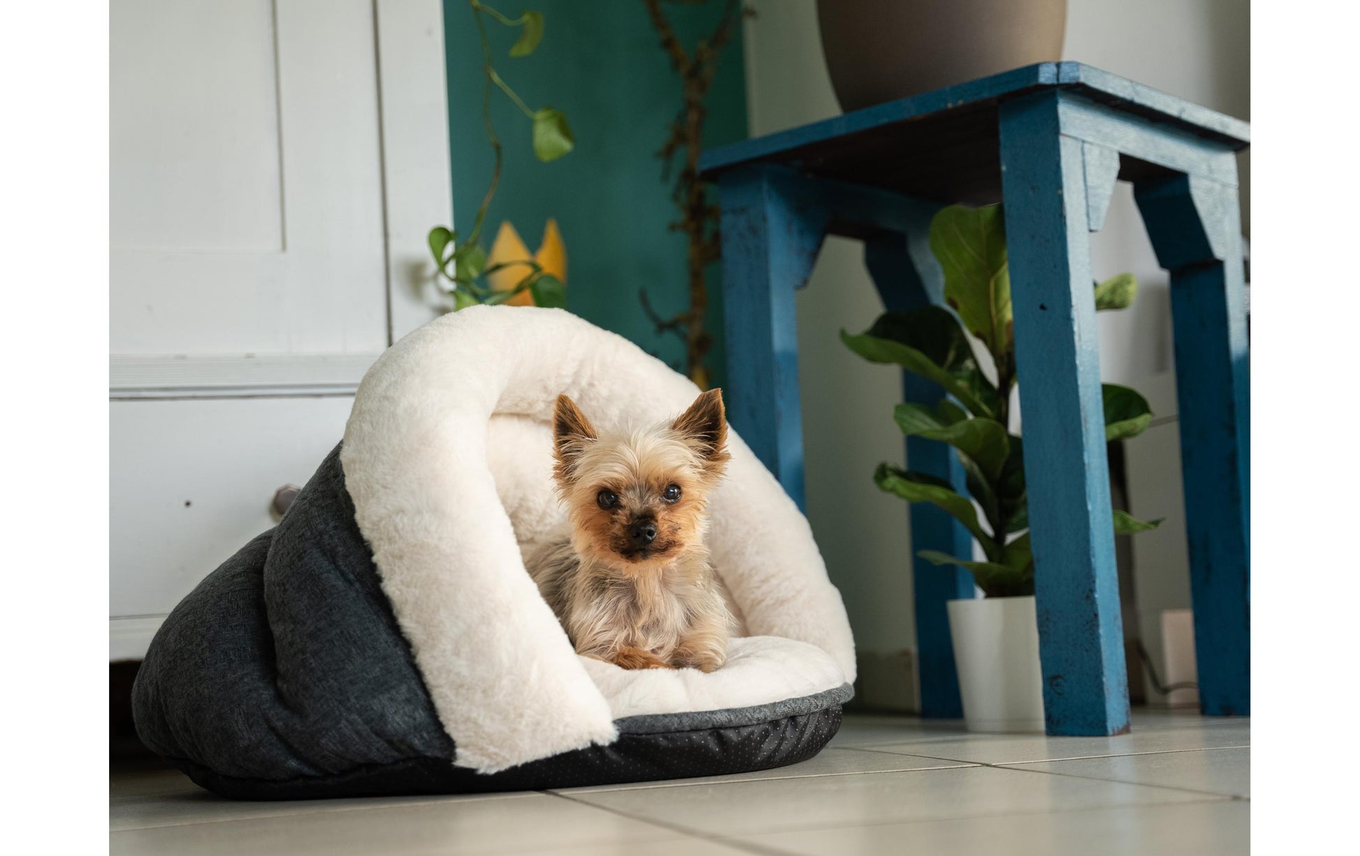 TrendPet LunaSuite Bett – 50 × 30 cm, maschinenwaschbar bis 30 °C, beige, für Hund, Katze