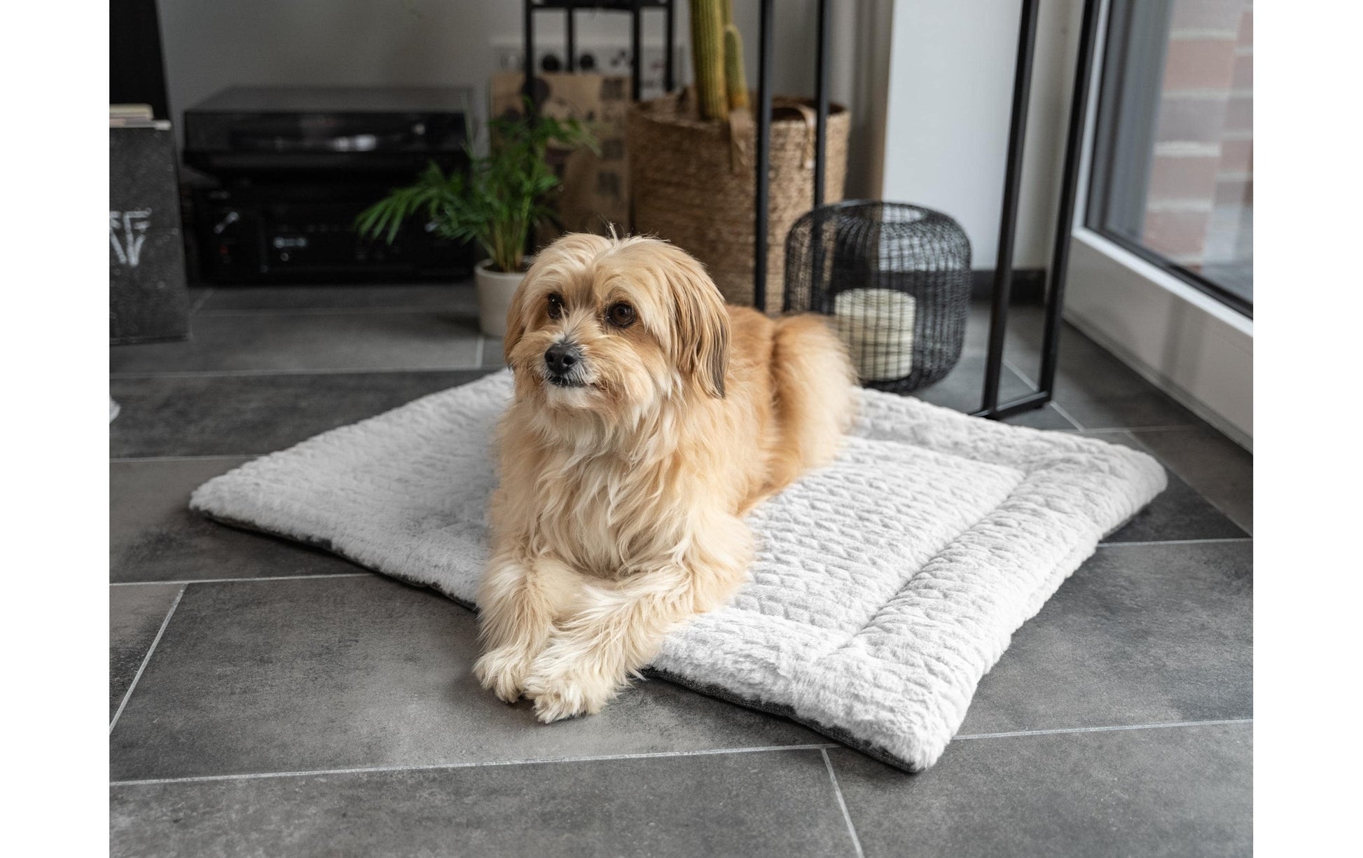 TrendPet Wohndecke – Hellgrau – 45 × 60 cm