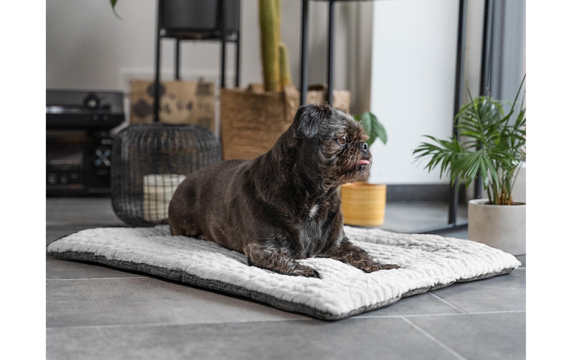 TrendPet Wohndecke – Hellgrau – 65 × 90 cm
