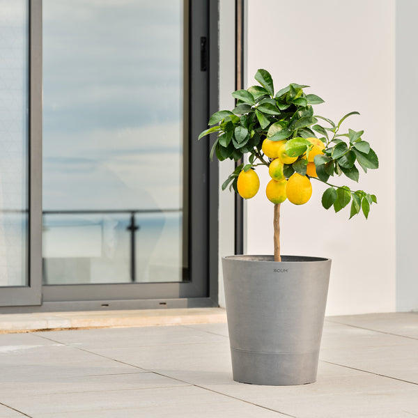 Boum Pflanztopf – 15 L – Kunststoff, Graubraun – Ø 32 × 36 cm