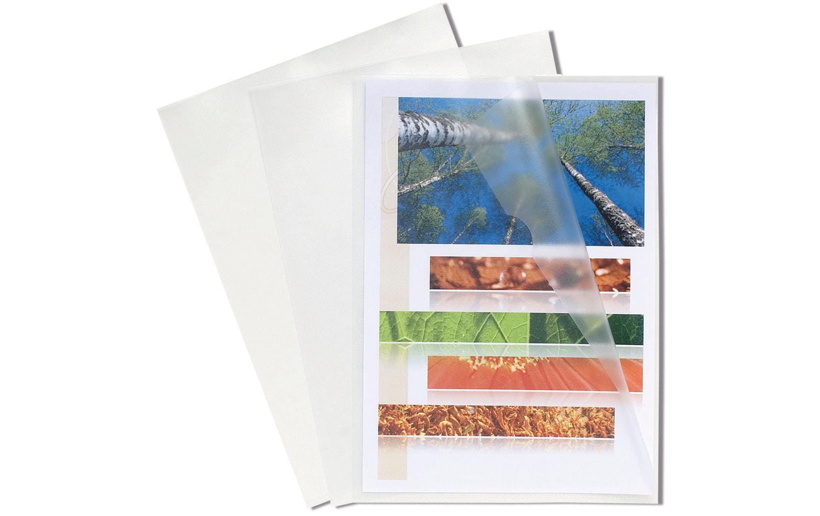 Exacompta Sichthülle A4, blendfrei genarbt, 120 µm, assortiert – 100 Stück