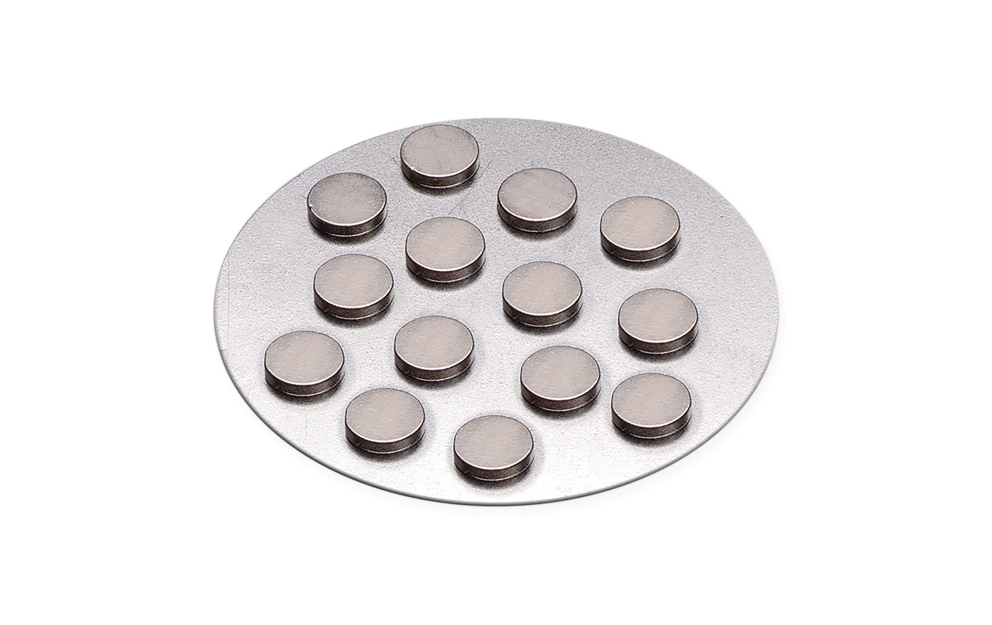 KNORR prandell Magnet-Rohlinge, Ø 10 mm × 2 mm, Set à 12