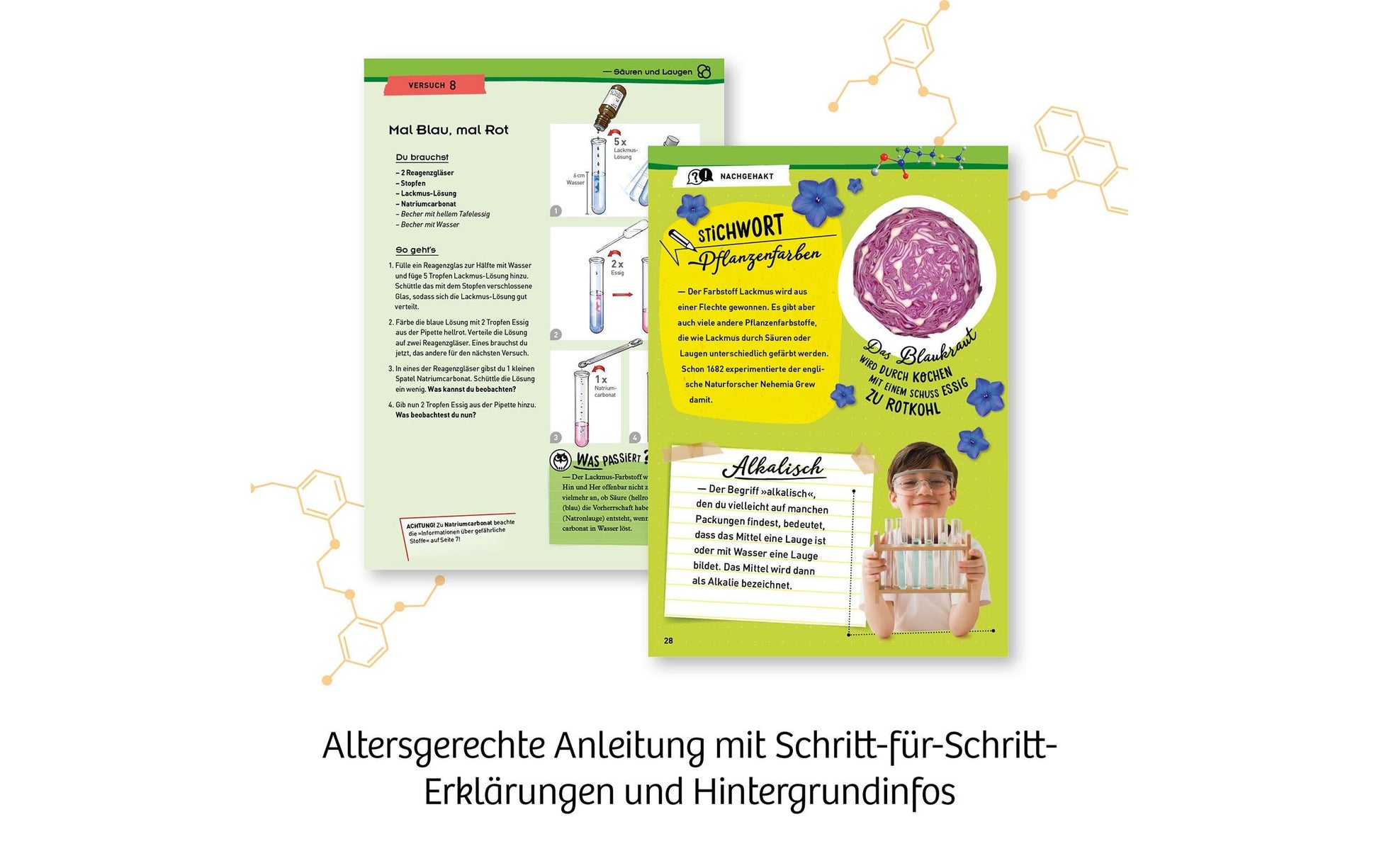 Kosmos Experimentier-Bausatz – Chemielabor C 500 X, inkl. Anleitung (52 Seiten), ab 9 Jahren