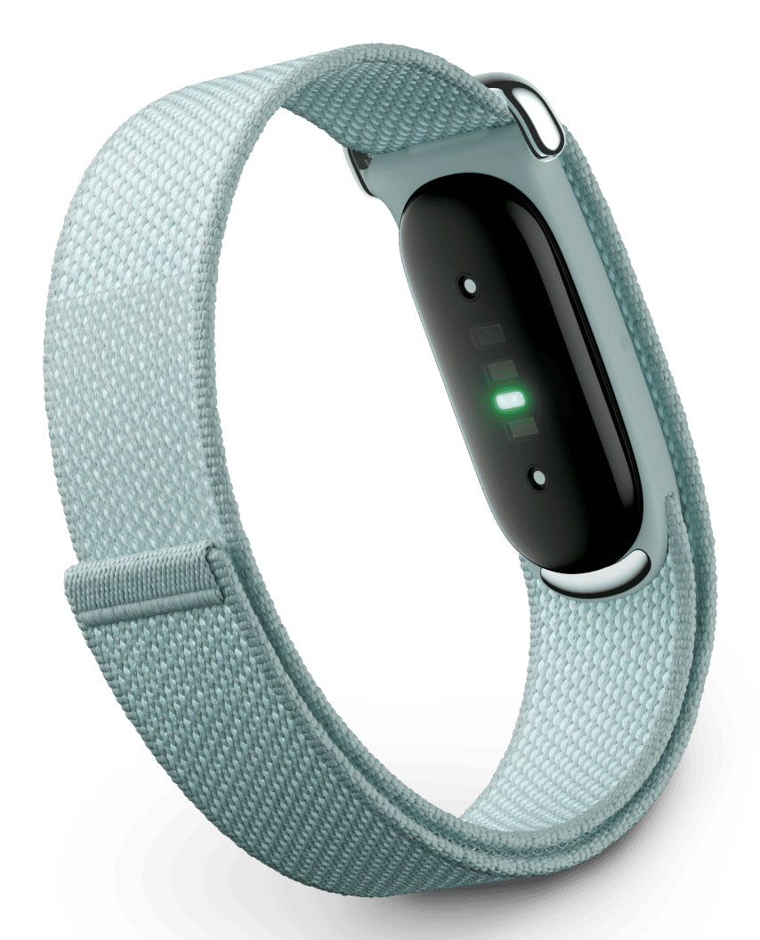 Google Fitbit Air – Polycarbonat Nebelgrau, 50 m, für Android, iPhone