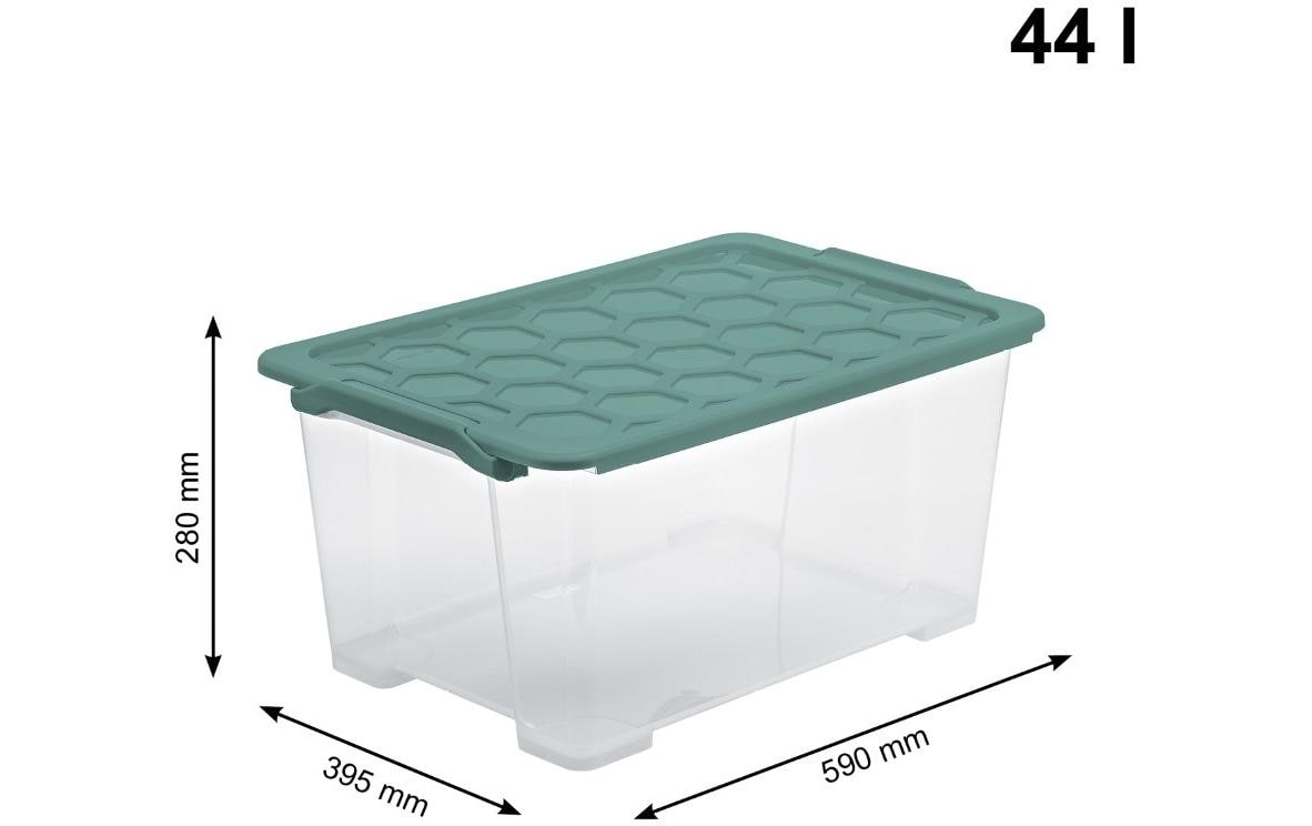 Rotho Aufbewahrungsbox – Kunststoff, transparent/grün, 59 × 28 × 39,5 cm