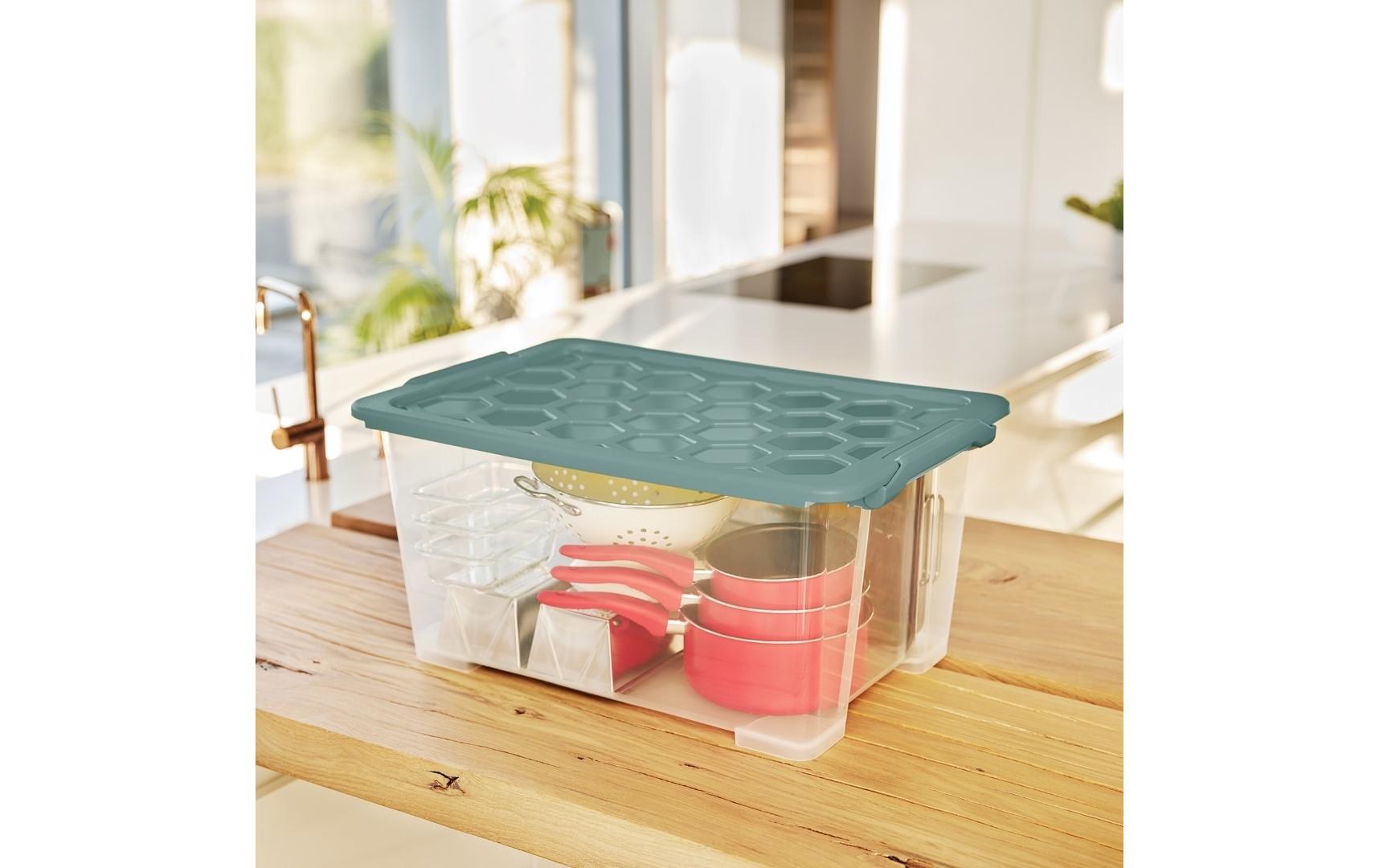 Rotho Aufbewahrungsbox – Kunststoff, transparent/grün, 59 × 28 × 39,5 cm