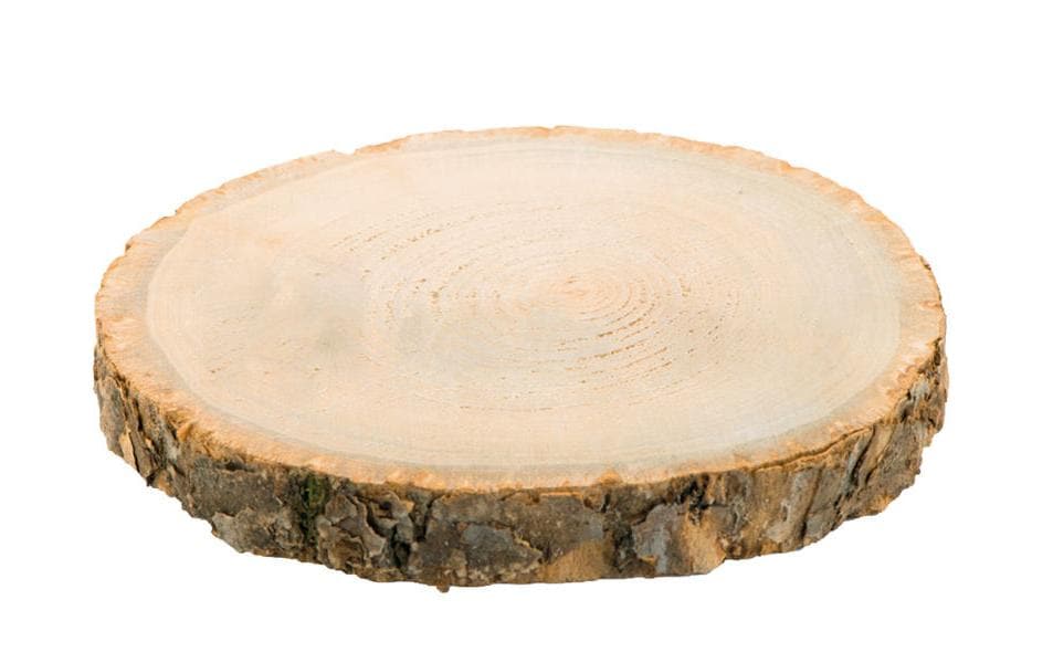 Dekomat ag Holzrohling, Paulownia (Blauglockenbaum), mit Rinde, braun, Ø 34 cm × 3,5 cm, 1 Stk.