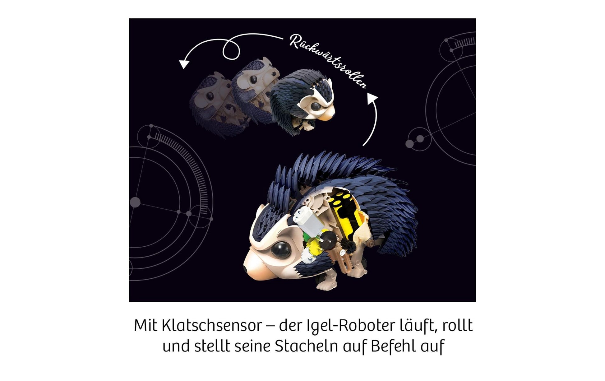Kosmos Experimentier-Bausatz – Nuna – Faszinierender Igel, mit Akku, 8–12 Jahre