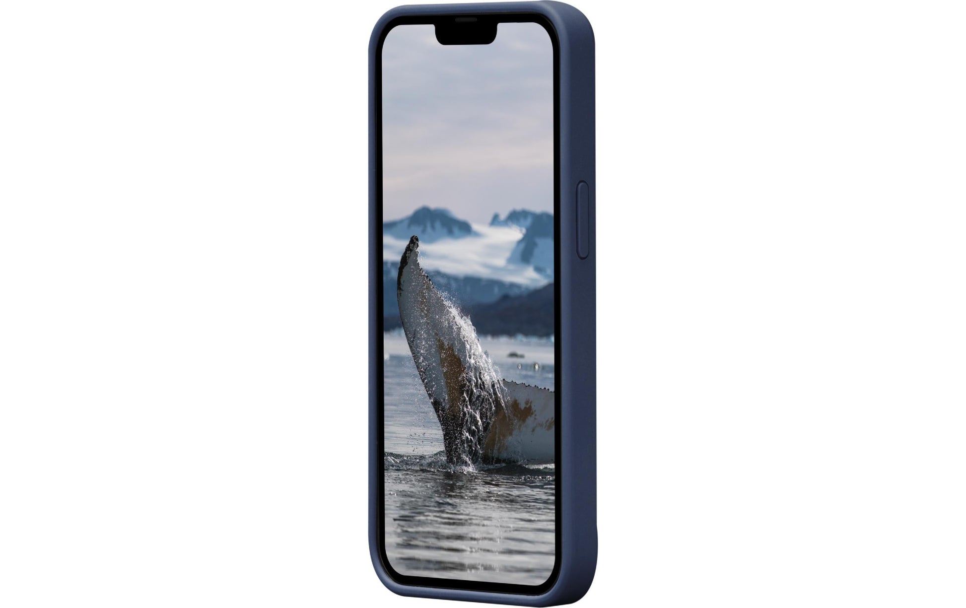 dbramante1928 Greenland – Backcover – für Apple iPhone 14 Pro, Recycling-Kunststoff, Pacific Blue