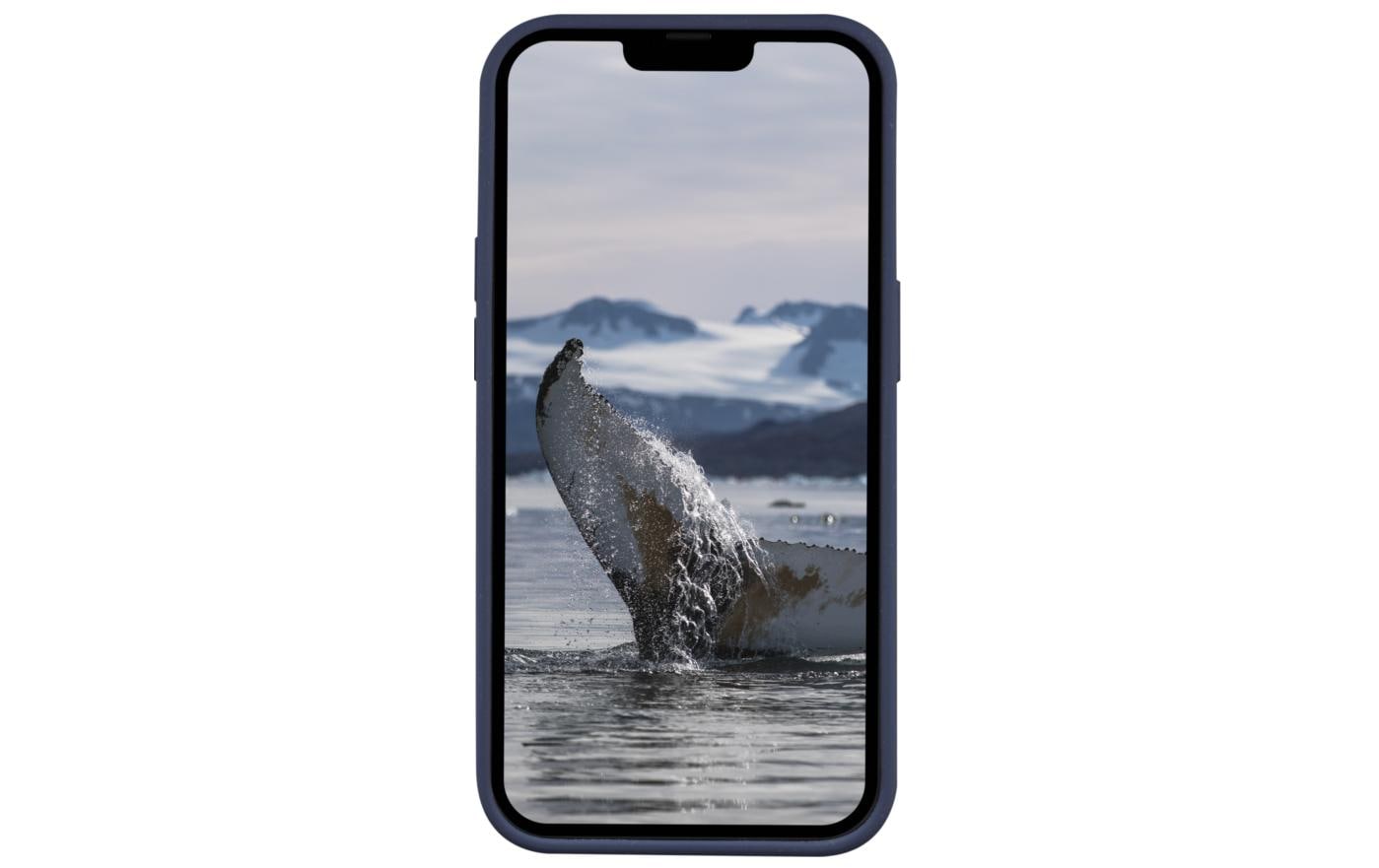 dbramante1928 Greenland – Backcover – für Apple iPhone 14 Pro, Recycling-Kunststoff, Pacific Blue