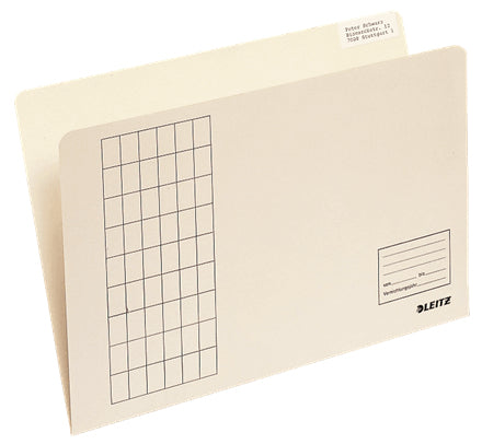 Leitz Sammelmappe, Karton, Chamois