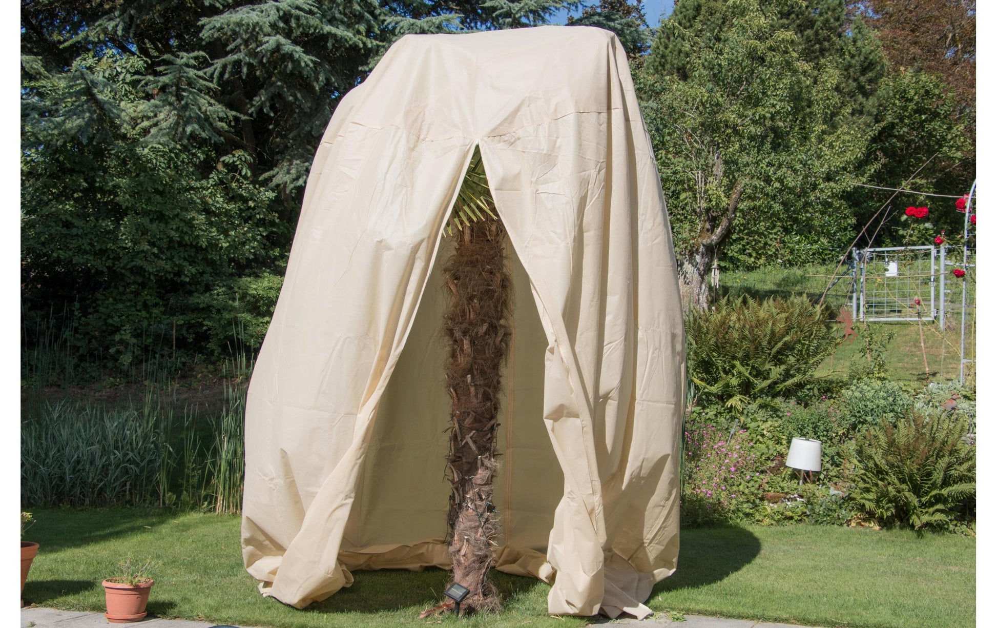 Colibri Winterschutzhaube, 250 cm × 250 cm × 350 cm, Vlies, Weiss, 70 g/m², atmungsaktiv – für Baum – 1 Stück