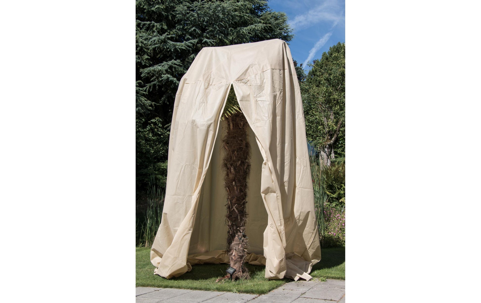 Colibri Winterschutzhaube, 250 cm × 250 cm × 350 cm, Vlies, Weiss, 70 g/m², atmungsaktiv – für Baum – 1 Stück