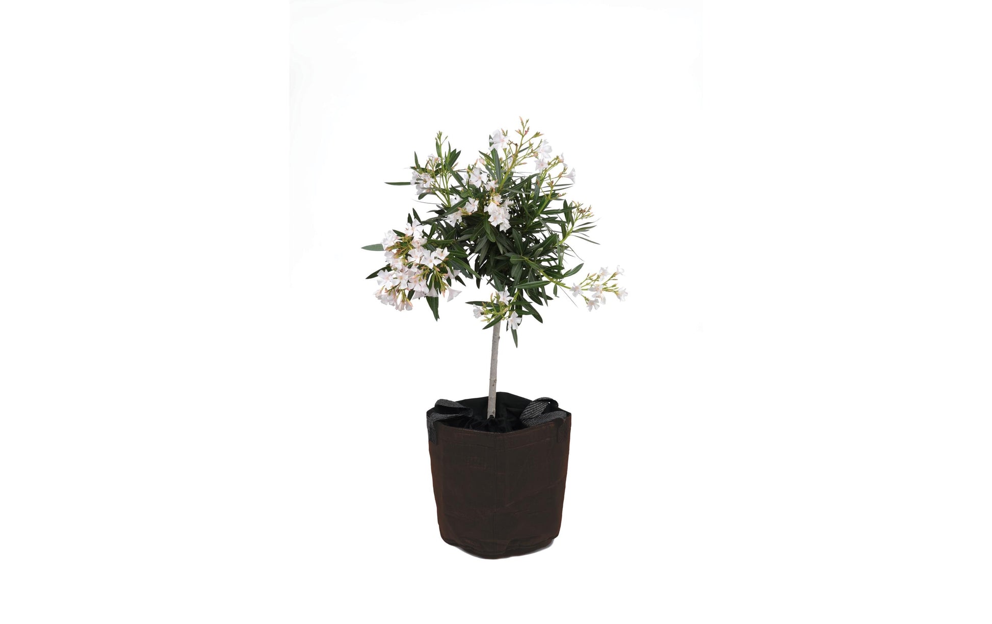 Colibri Topfschutz – 45 × 55 cm, Braun