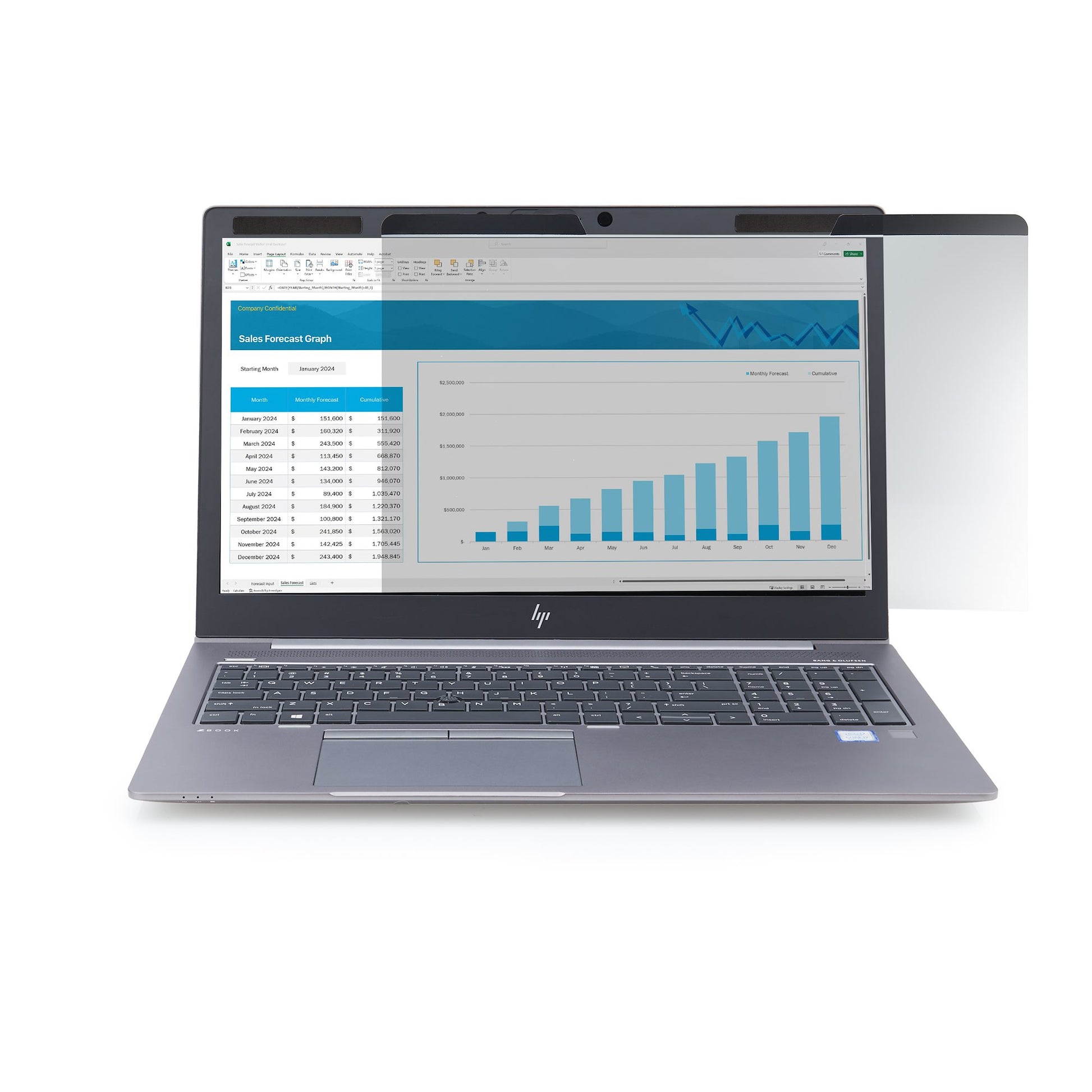 StarTech.com Displayschutz für 13,3" Laptop