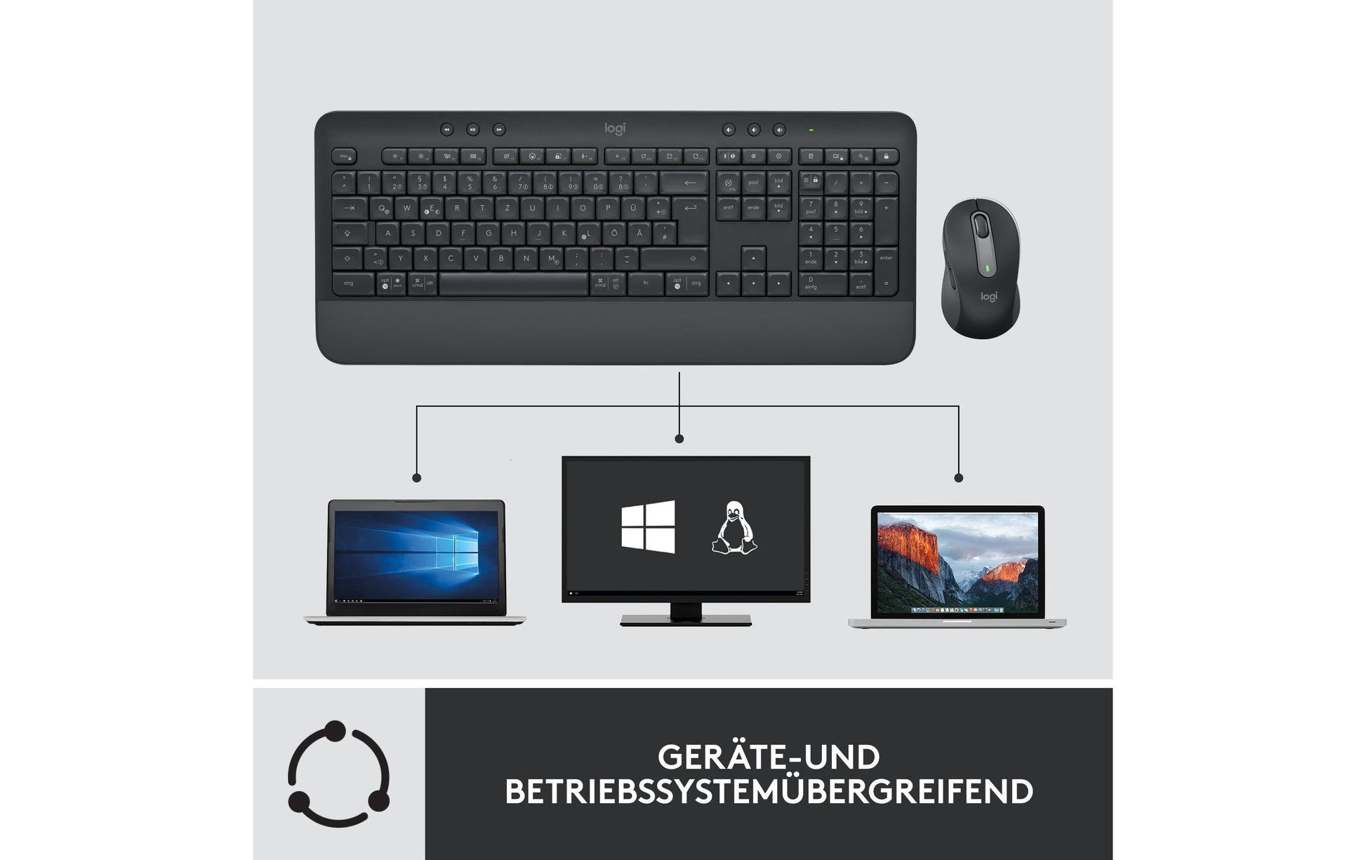 Logitech MK650 – Tastatur, US-Layout (EN), Graphit