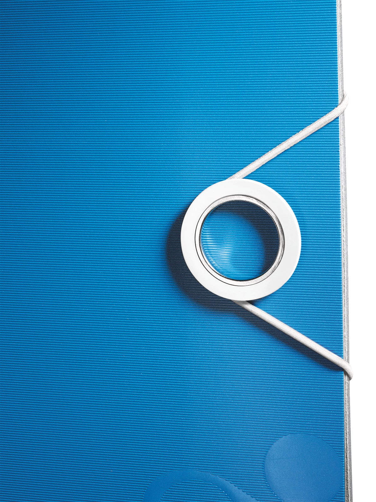 Leitz Ordner – A4 hoch – 2-Ring Hebelmechanik, Rücken 80 mm – blau, mit Niederhalter, mit Griffloch