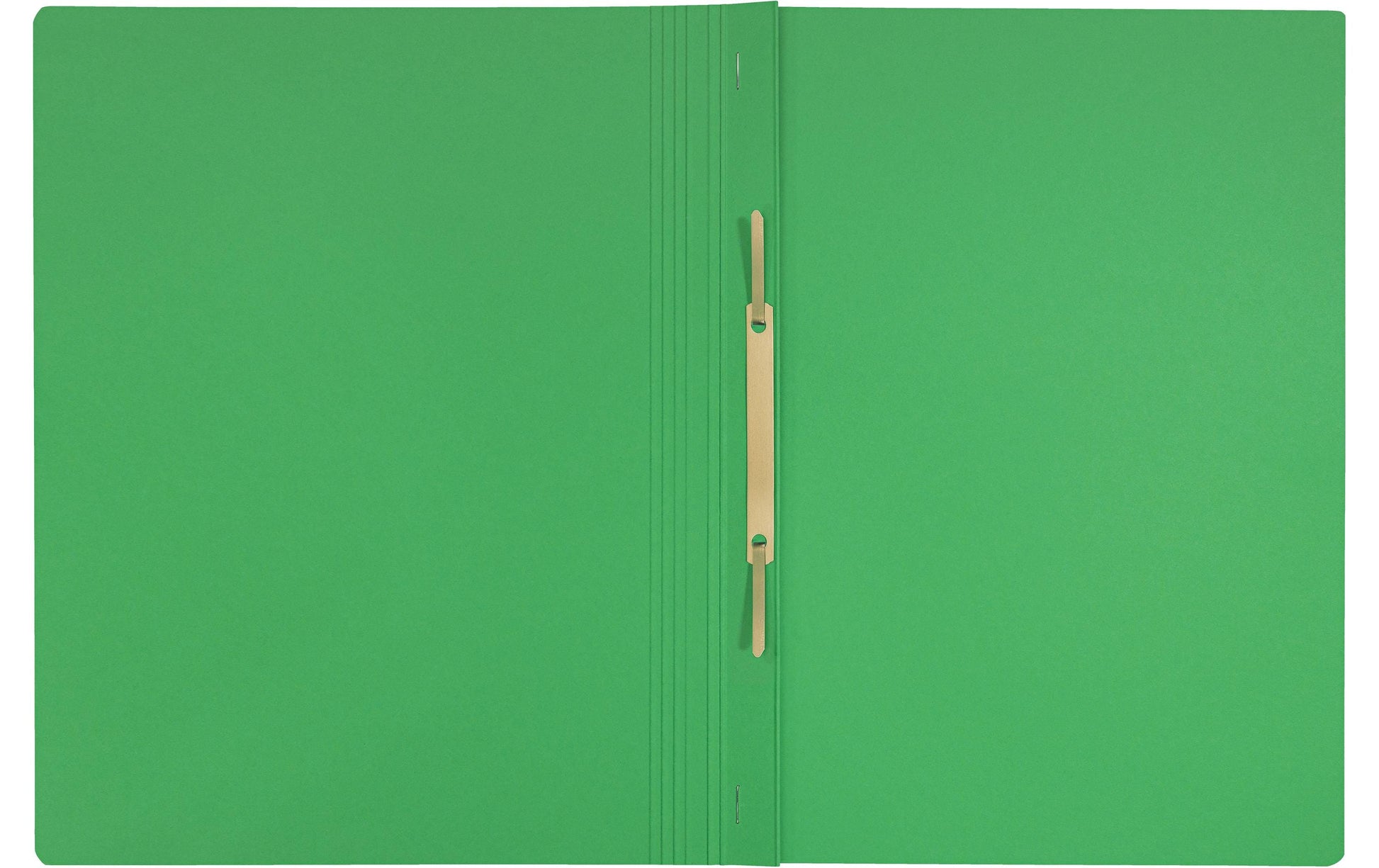Leitz Schnellhefter für A4, Kunststoff (rezykliert), grün – bis 250 Blatt – 10 Stk