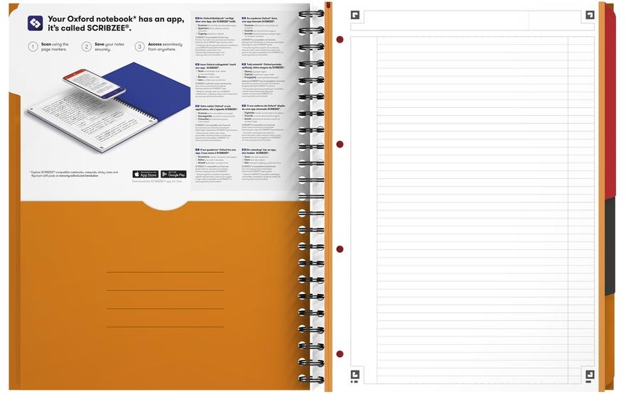 Elba Oxford Notizblock – A4 – 4-fach gelocht, mikroperforiert, Register, Sammeltasche, grau/orange, 5 Stück