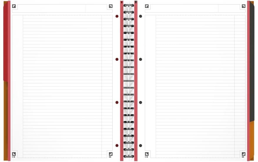 Elba Oxford Notizblock – A4 – 4-fach gelocht, mikroperforiert, Register, Sammeltasche, grau/orange, 5 Stück