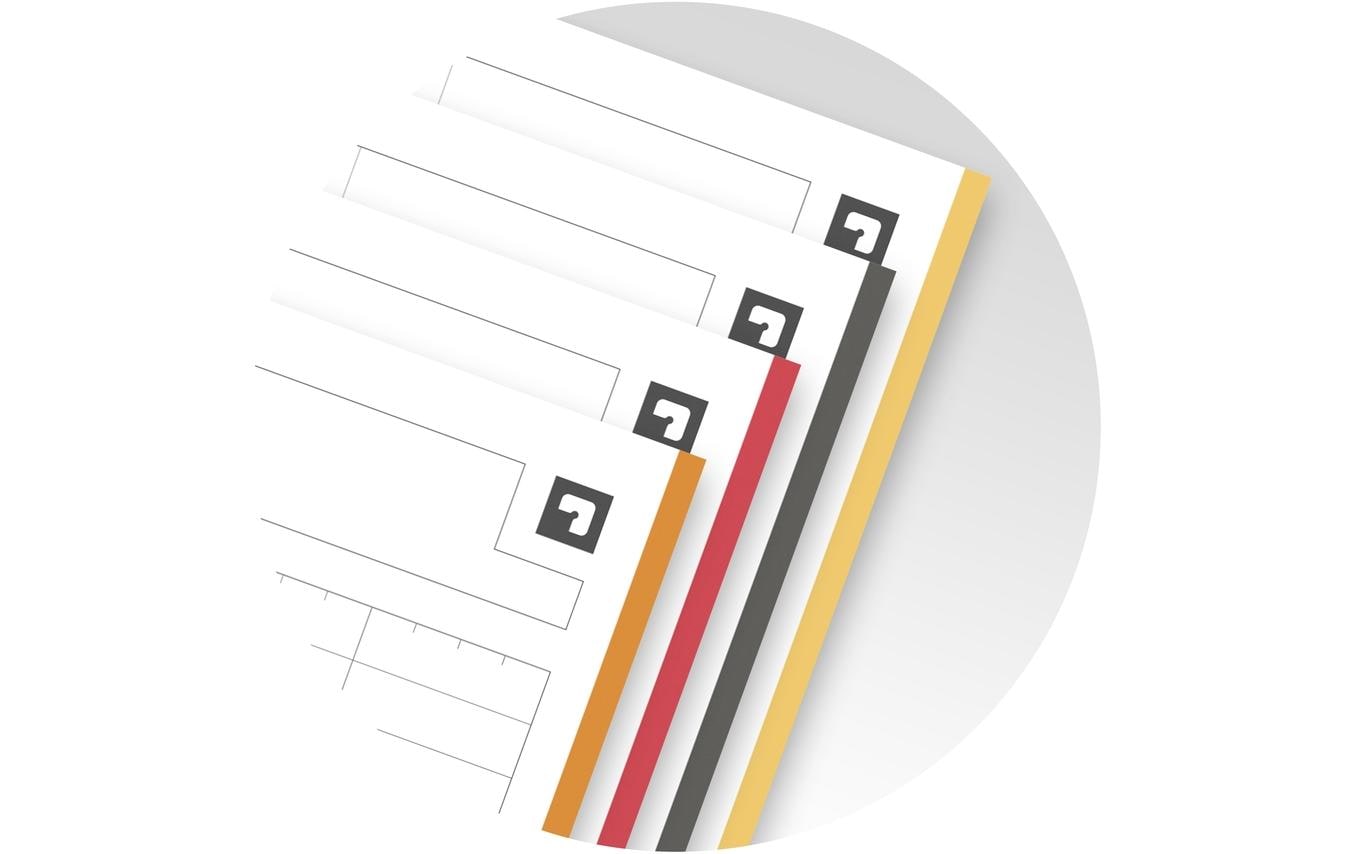 Elba Oxford Notizblock – A4 – 4-fach gelocht, mikroperforiert, Register, Sammeltasche, grau/orange, 5 Stück