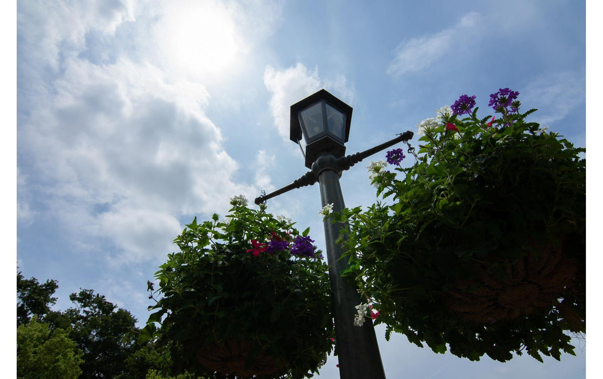 Tokina atx-i 11-20 mm f/2.8 Plus Nikon F Weitwinkel-Zoomobjektiv – APS-C – Filter 82 mm