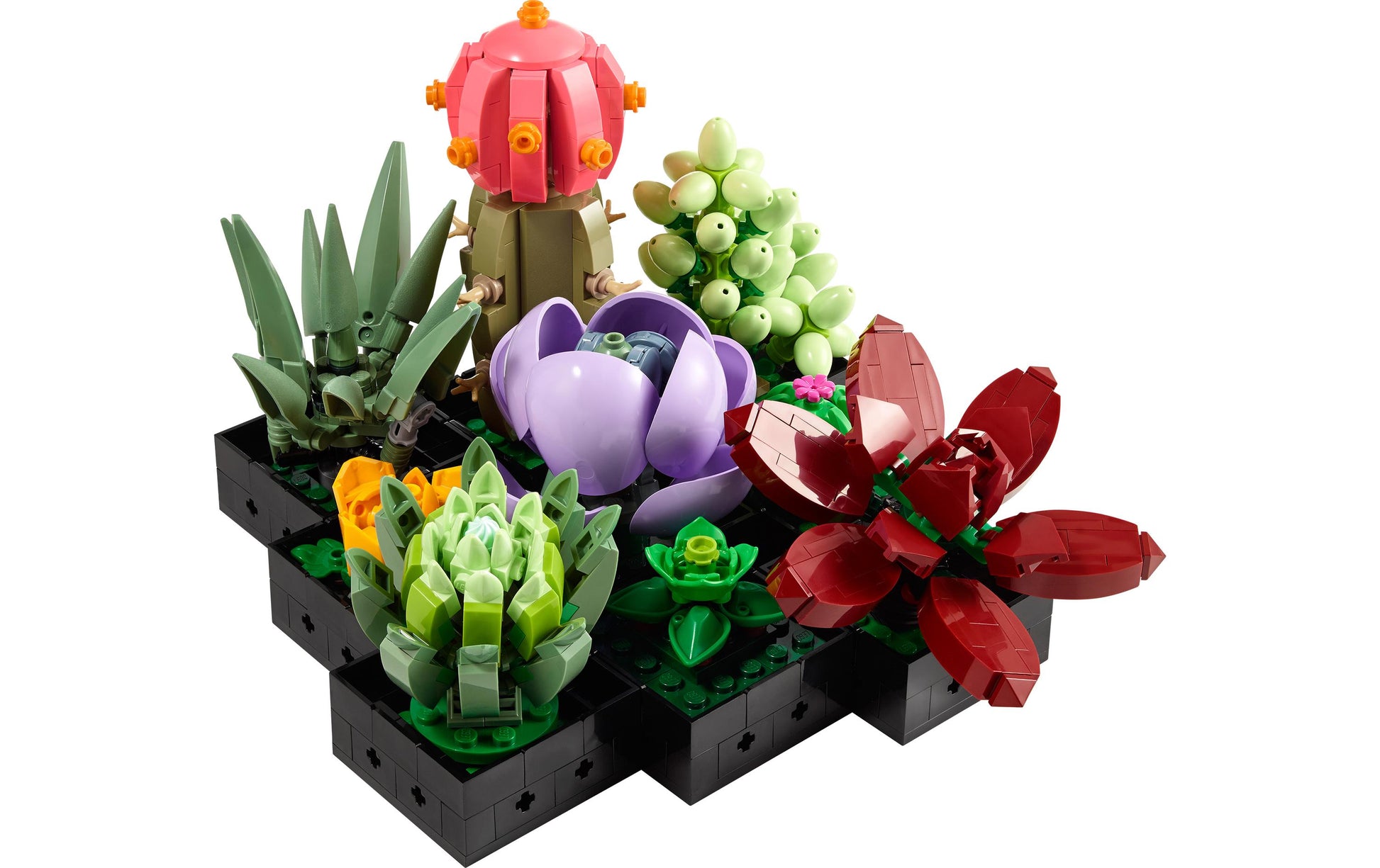 LEGO Sukkulenten 10309 – 771 Teile – 17 × 13 × 17 cm