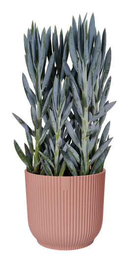 elho Vibes Fold Pflanzgefäss – Ø 39 × 36 cm – Recycling-Kunststoff, Rosa