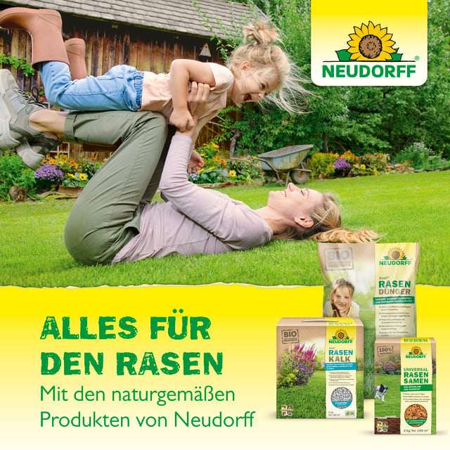 Neudorff Azet RasenKalk – Mehrnährstoffdünger, 5 kg, Granulat, Bio, ausreichend für 100 m², für Rasengras