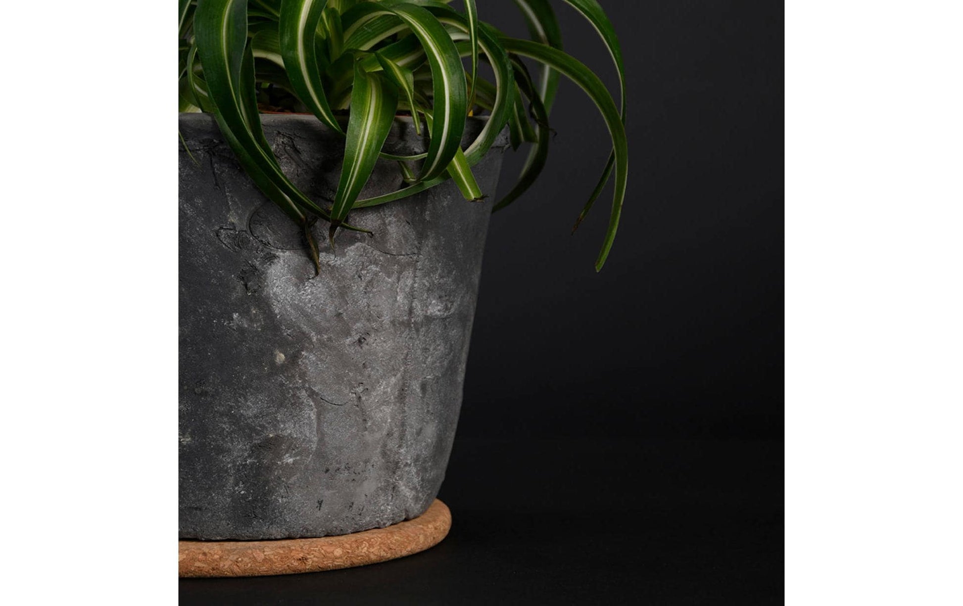 Esschert Design Topfuntersetzer Ø 10 × 1 cm, Kork, braun