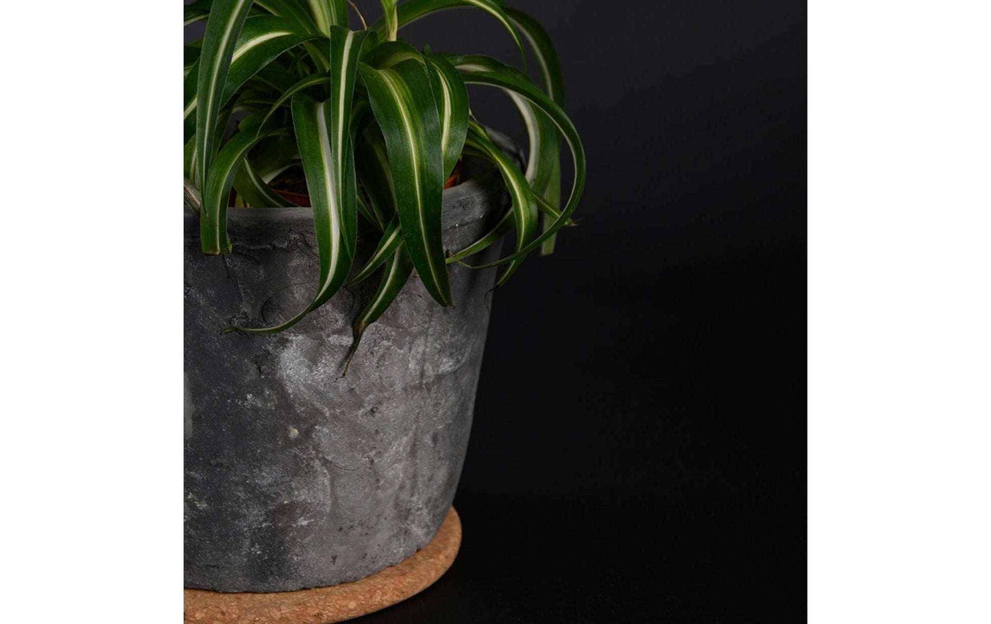 Esschert Design Topfuntersetzer Ø 15 × 1 cm, Kork, braun