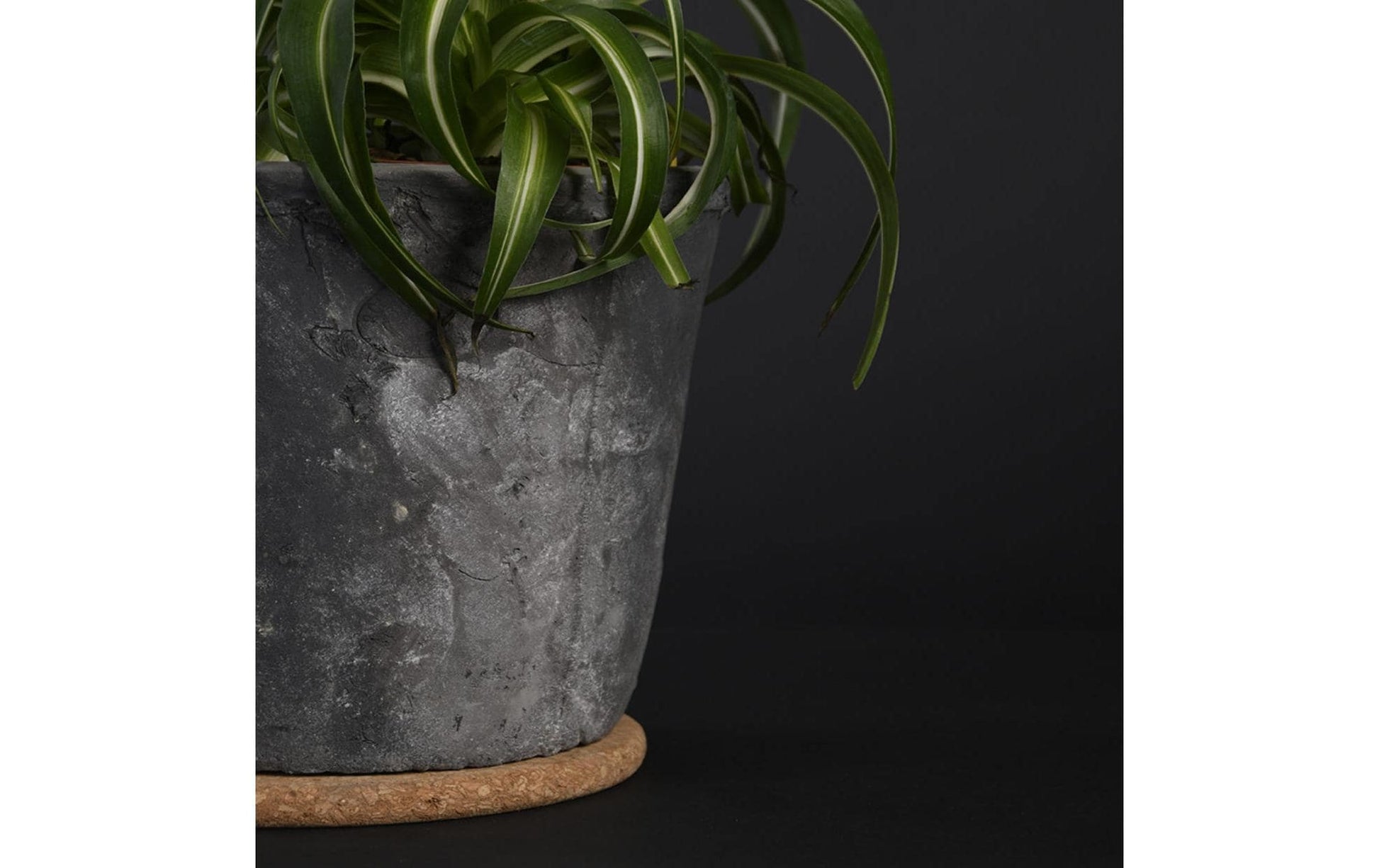 Esschert Design Topfuntersetzer Ø 10 × 1 cm, Kork, braun