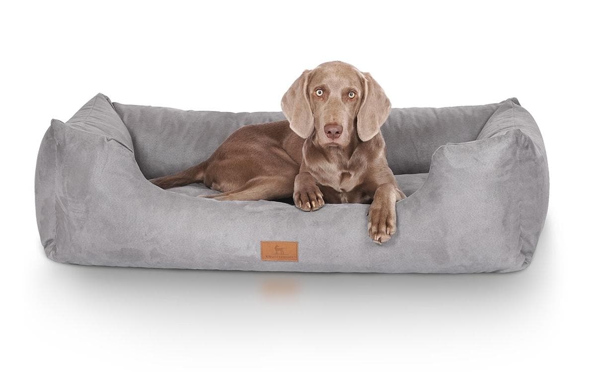 Knuffelwuff Dreamline Bett – 105 × 75 × 25 cm, Velour, Schaumstoff, abnehmbarer Bezug, rutschfester Boden