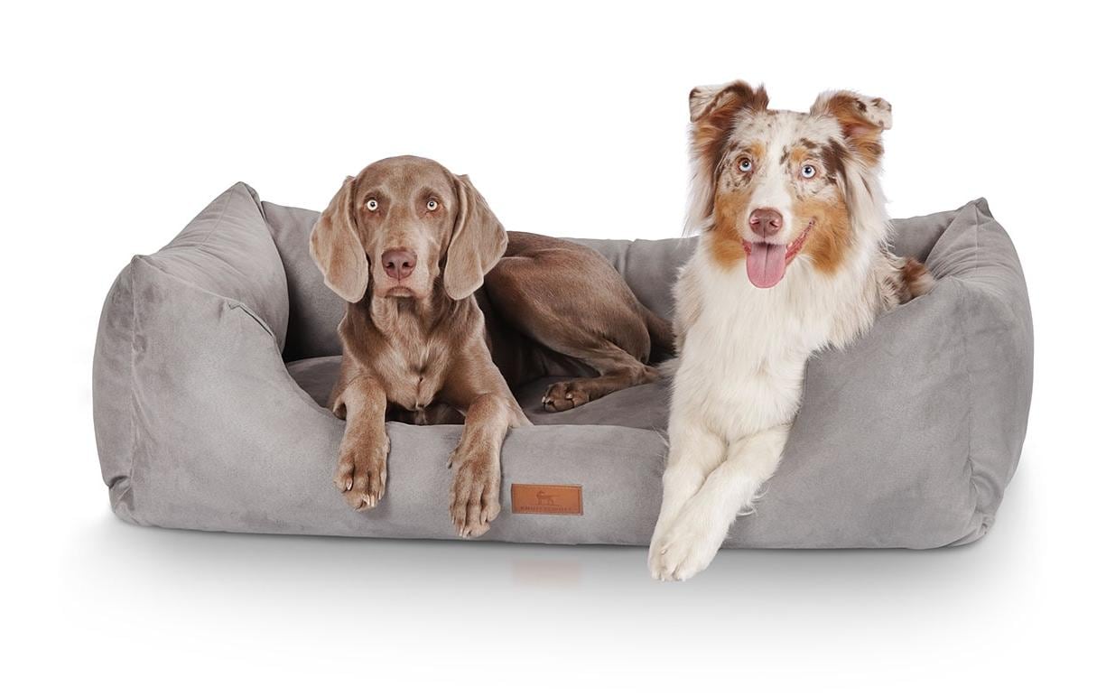 Knuffelwuff Dreamline Bett – 85 × 120 cm, Velour, Abnehmbarer Bezug, Rutschfester Boden, Grau
