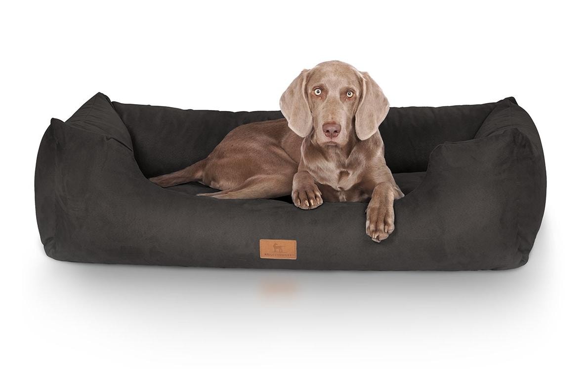 Knuffelwuff Polster-Haustier-Bett – 85 × 120 × 25 cm, Velour, Schaumstoff, Bezug abnehmbar, Schwarz