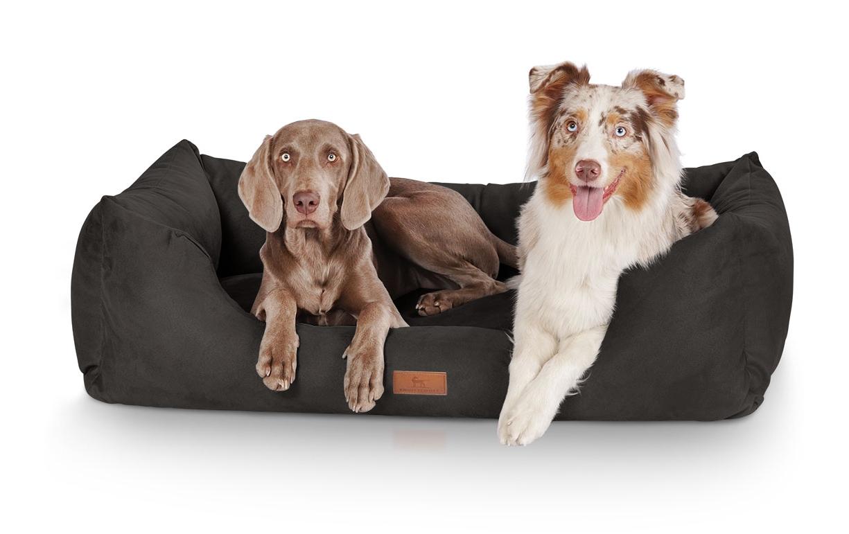 Knuffelwuff Bett Dreamline – 105 × 75 cm, 25 cm, Velour, schwarz, abnehmbar, rutschfest, für Hunde