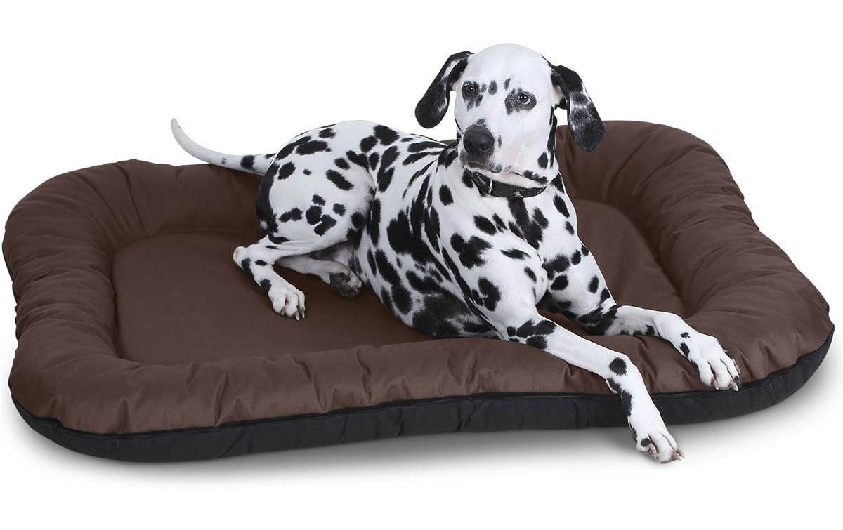Knuffelwuff Lucky Haustier-Bett – 85 × 118 × 12 cm, Cordura-Bezug, Schaumstoff, abnehmbarer Bezug