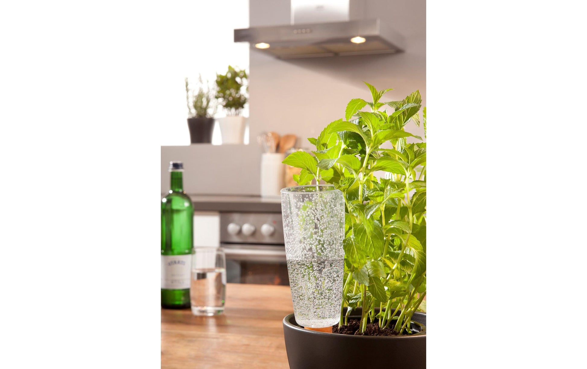 Scheurich Wasserspender Copa M – transparent, Kunststoff, Ø 6,5 × 18 cm, abnehmbar, 0,5 l