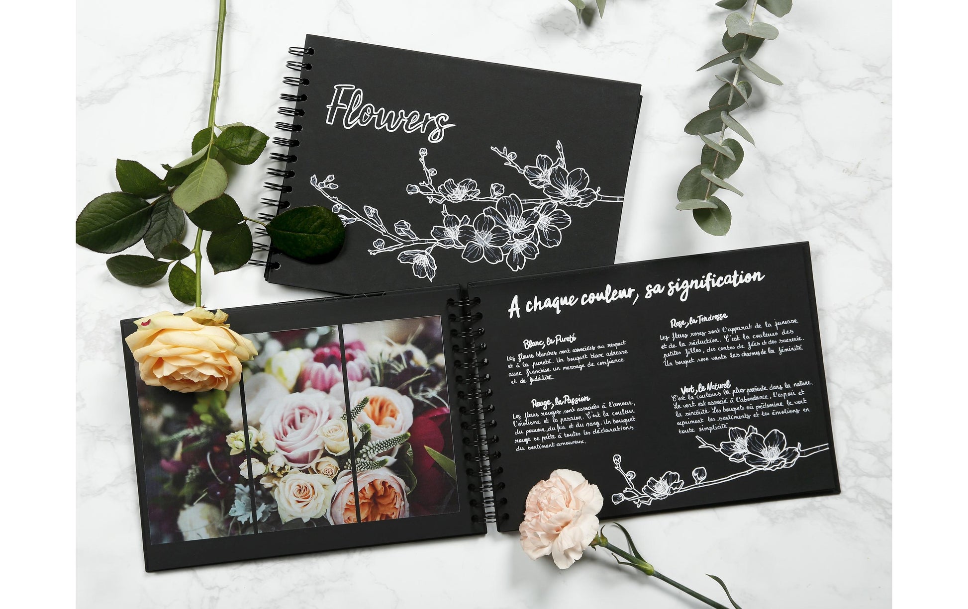 Clairefontaine Notizbuch – 210 × 160 mm – blanko – 80 Seiten – 200 g/m² – Spiralbindung, schwarz