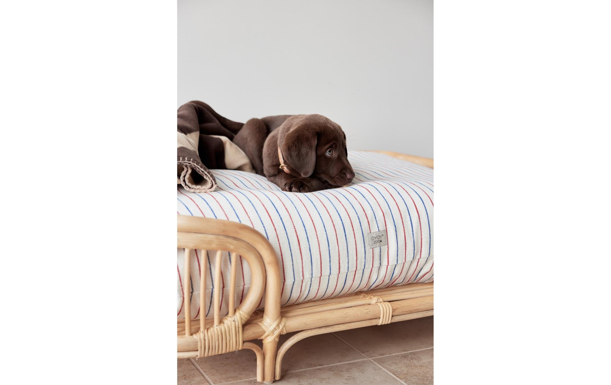 OYOY Otto Hundebett M – 55 × 69 × 30 cm – Rattan – beige