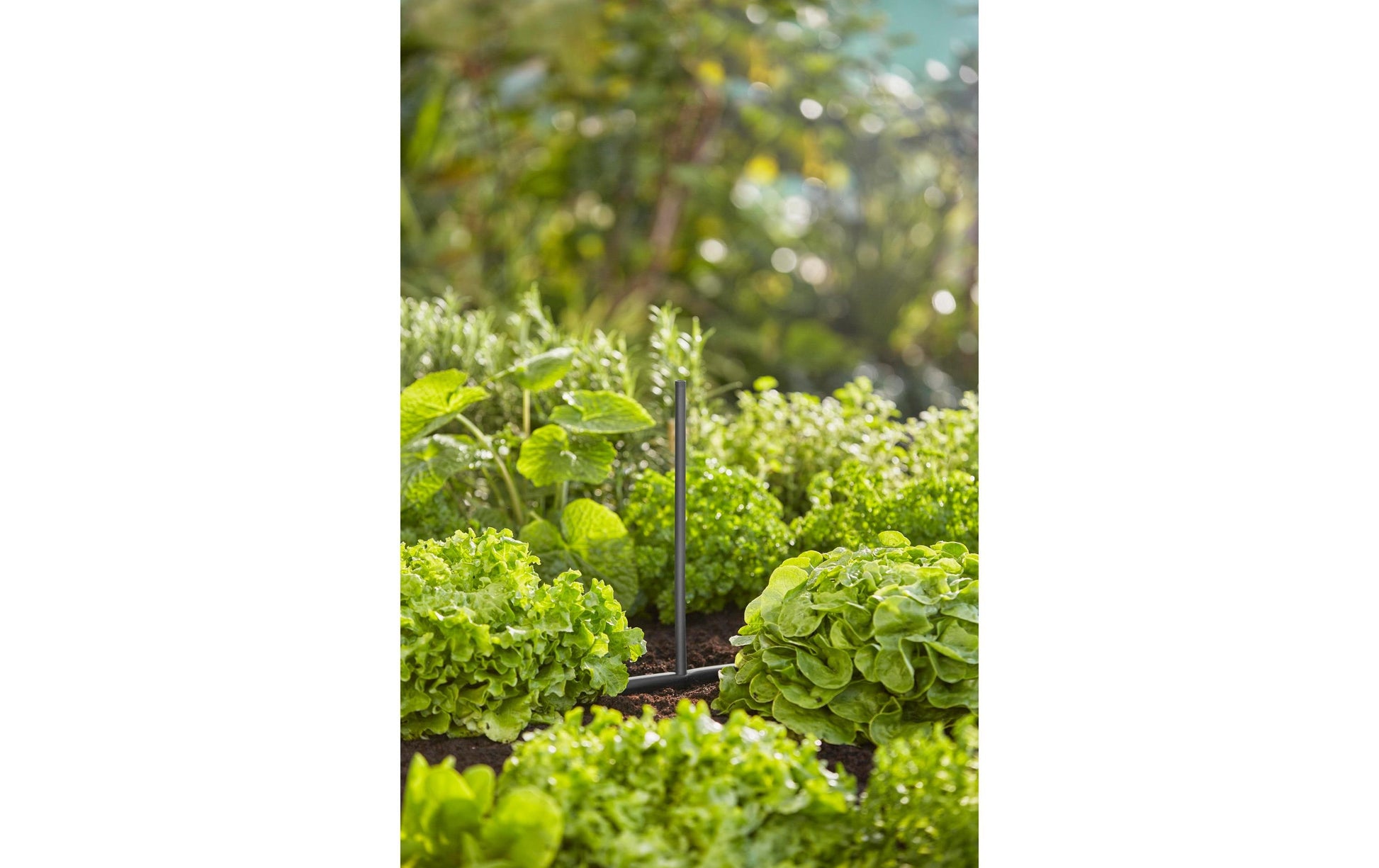 Gardena Verlängerungsrohr – 200 mm, Kunststoff, Grau/Schwarz, 5 Stk., für Micro-Drip-System