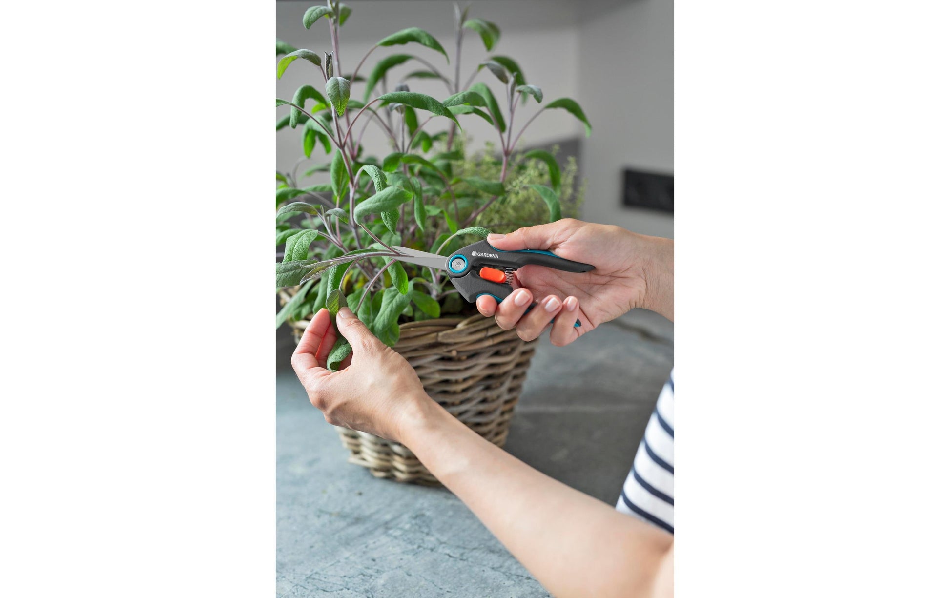 Gardena FreshCut – Ast- und Gartenschere 47 mm, Messer Edelstahl, Sicherheitssperre, Schwarz/Grün