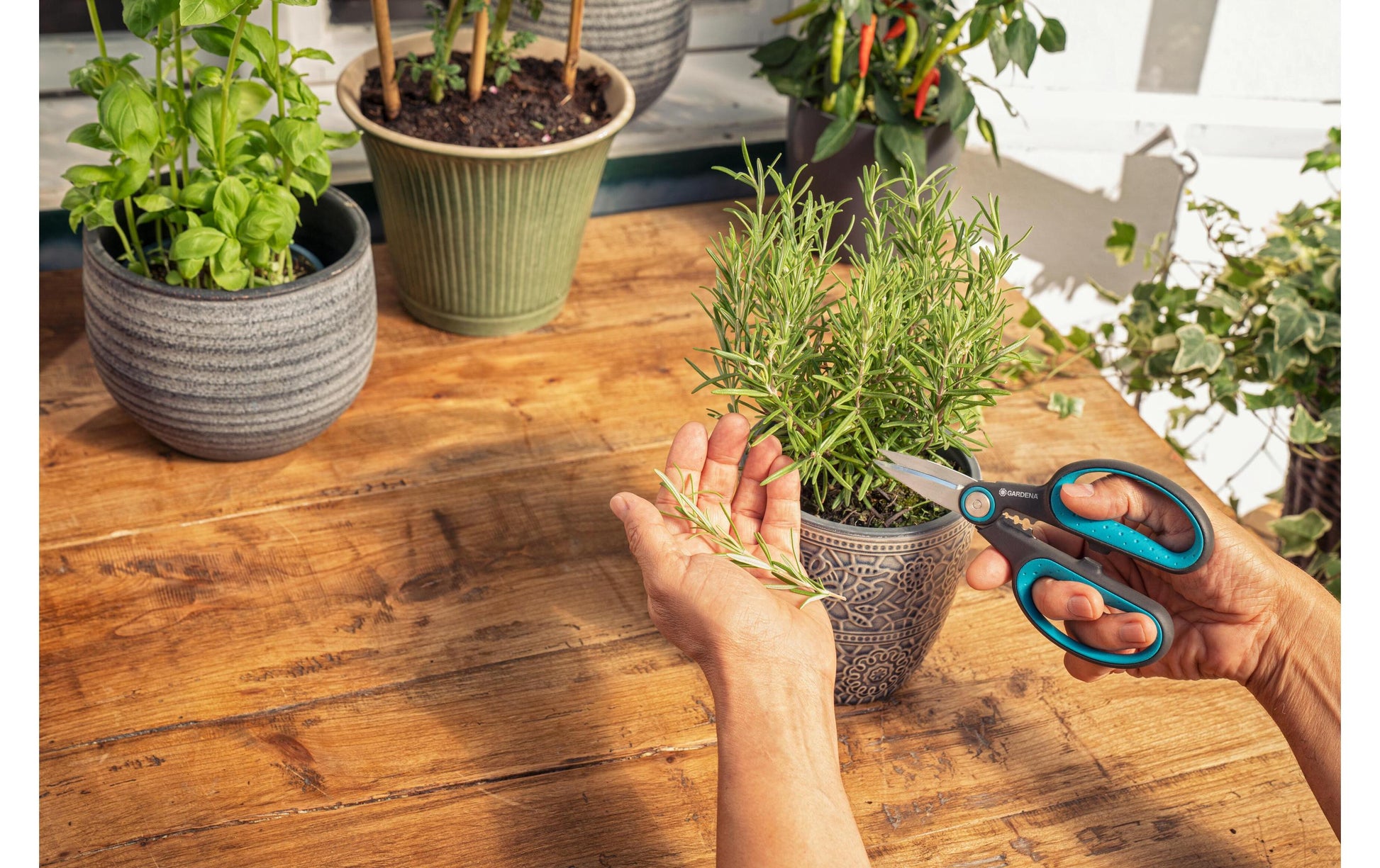 Gardena HerbCut – Astschere, Schnittbreite 52 mm, Klinge aus Edelstahl, Kunststoffgriff, grün