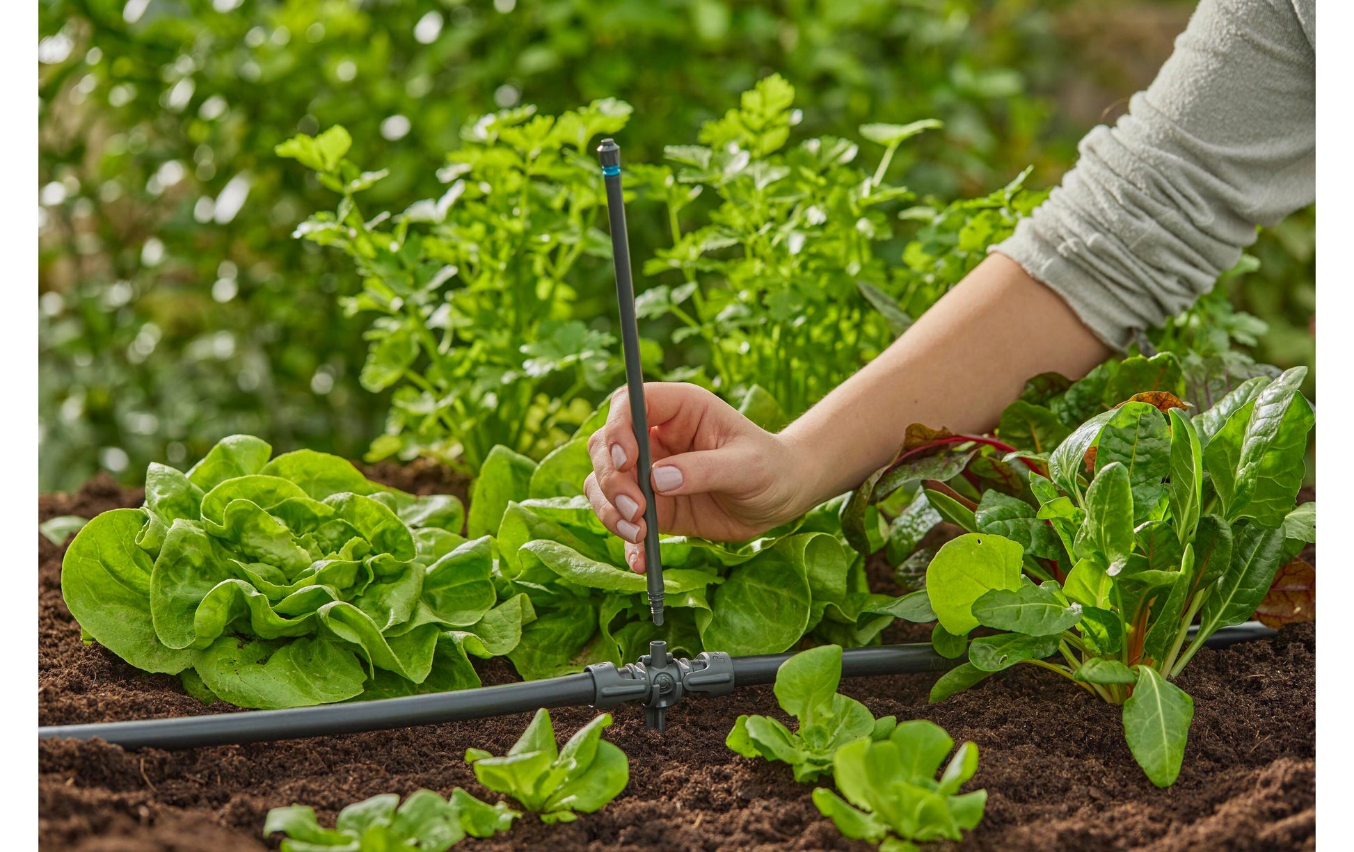 Gardena Micro-Drip-System Knotenverbinder – 13 mm, Kunststoff, schwarz, für Tropfbewässerungssystem